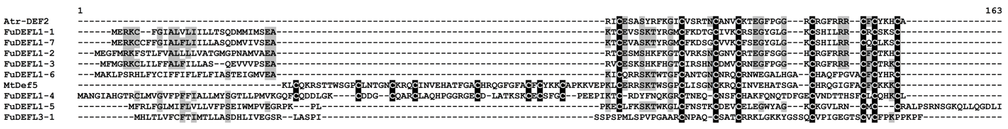 Jof 10 00258 g001 Jof 10 00258 g001