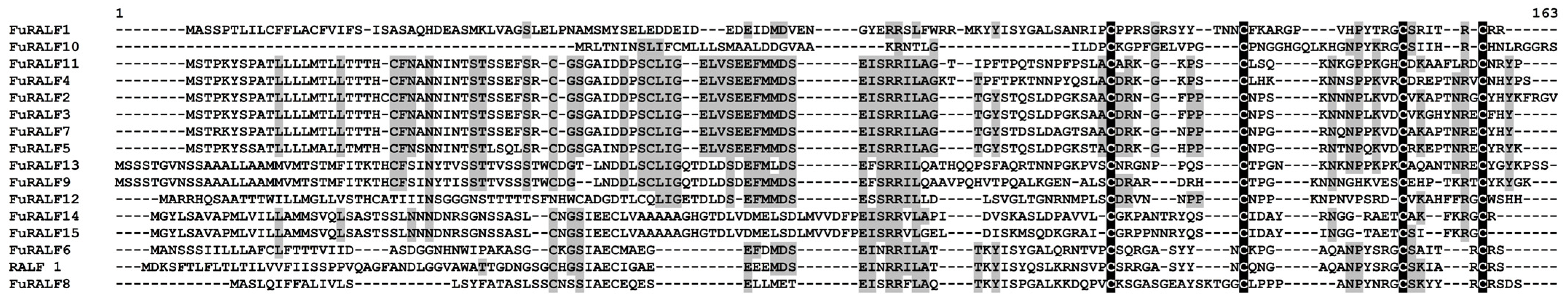 Jof 10 00258 g008 Jof 10 00258 g008