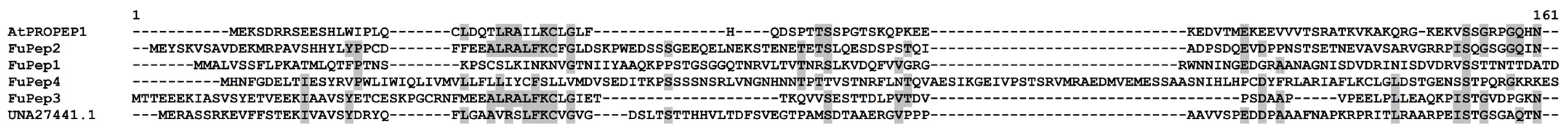 Jof 10 00258 g010 Jof 10 00258 g010