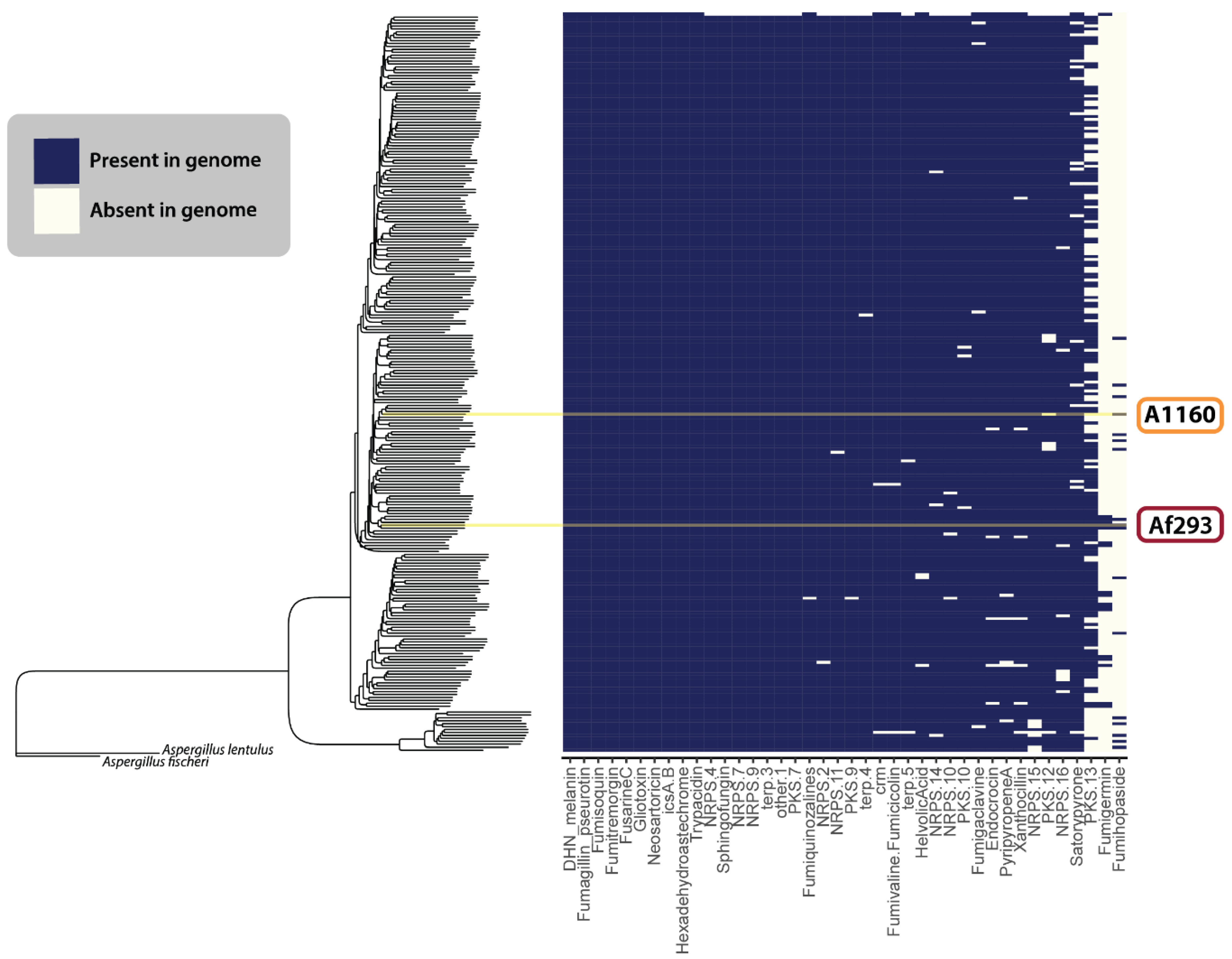 Jof 10 00266 g005 Jof 10 00266 g005