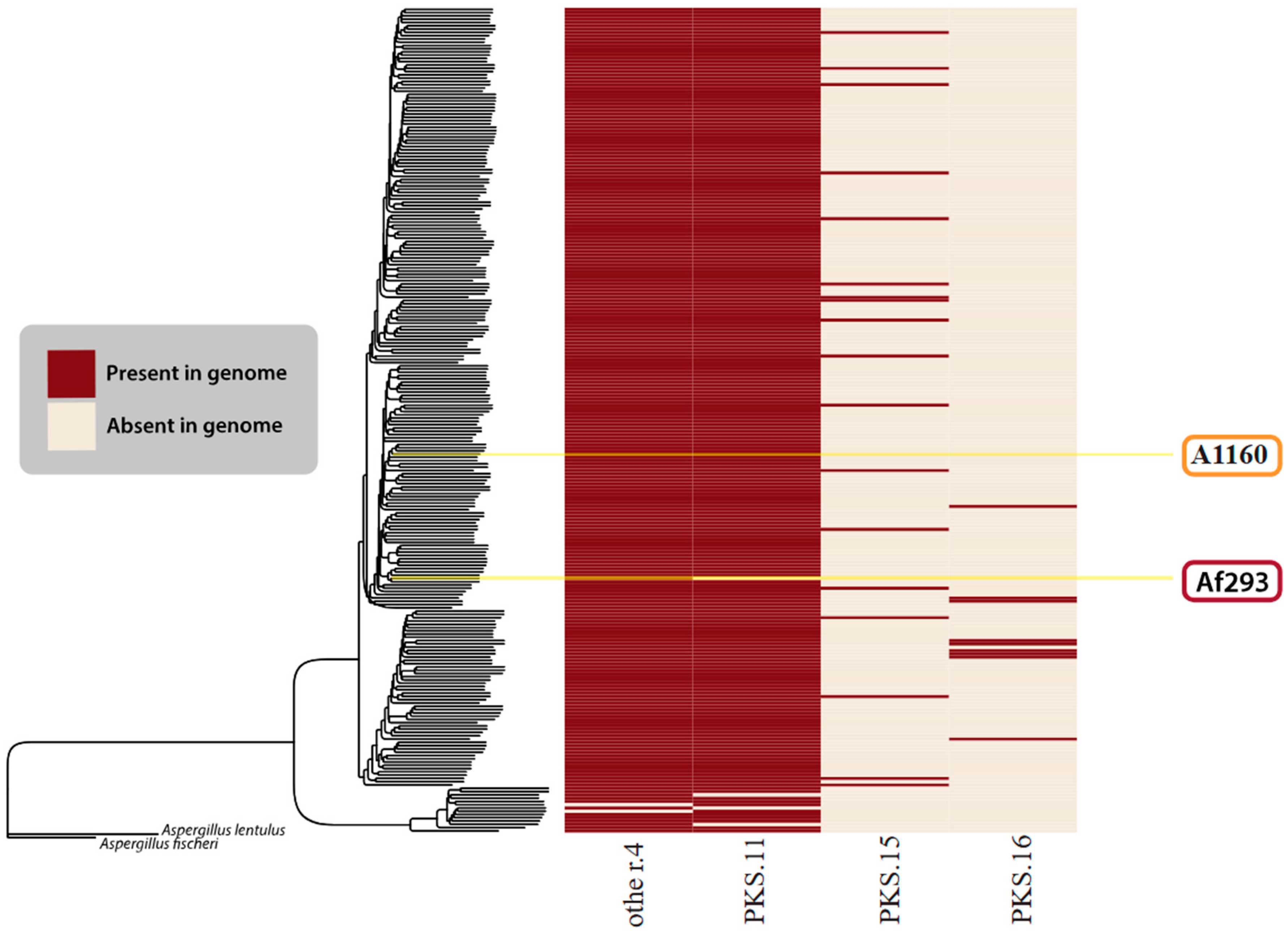 Jof 10 00266 g006 Jof 10 00266 g006