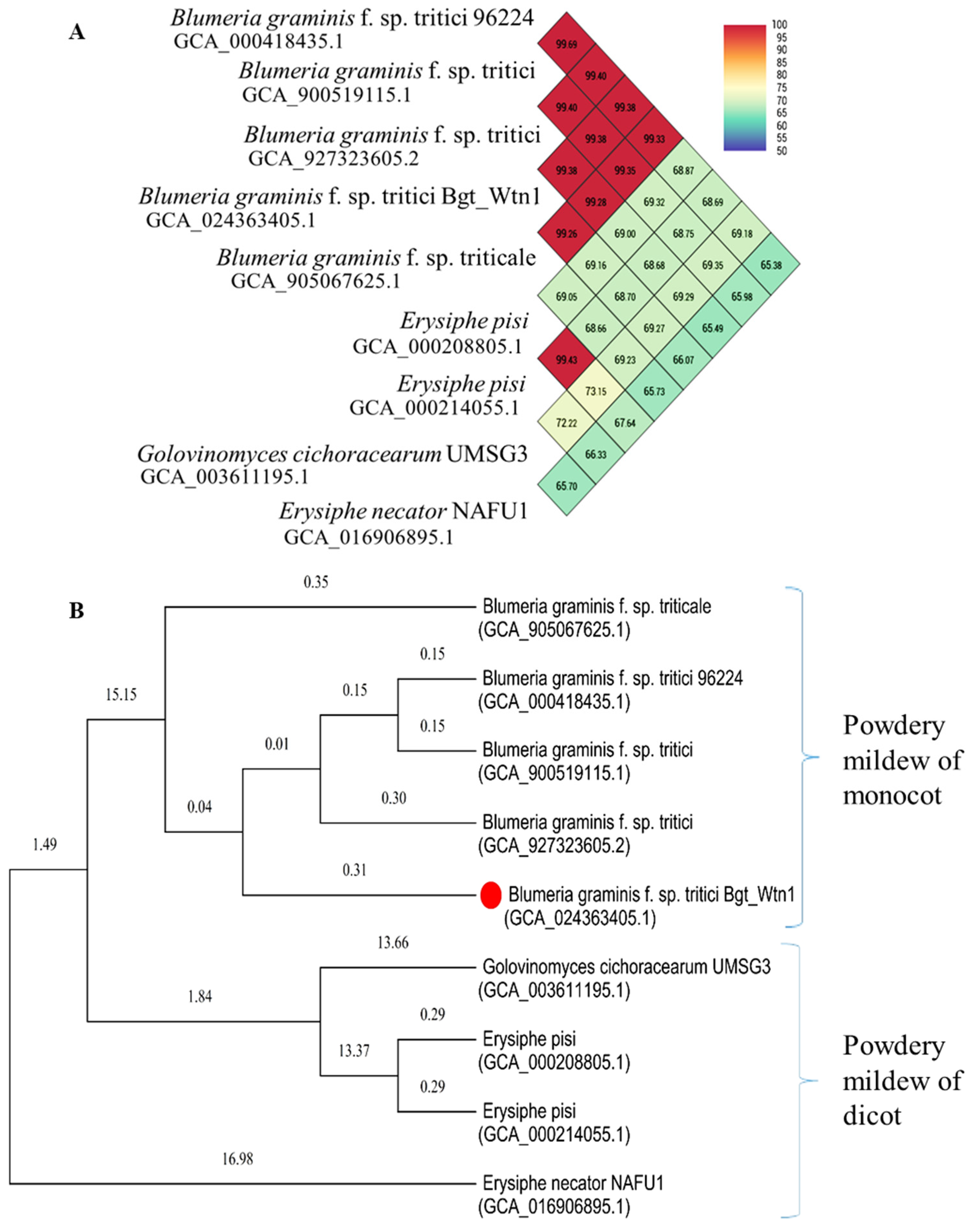 Jof 10 00267 g003 Jof 10 00267 g003