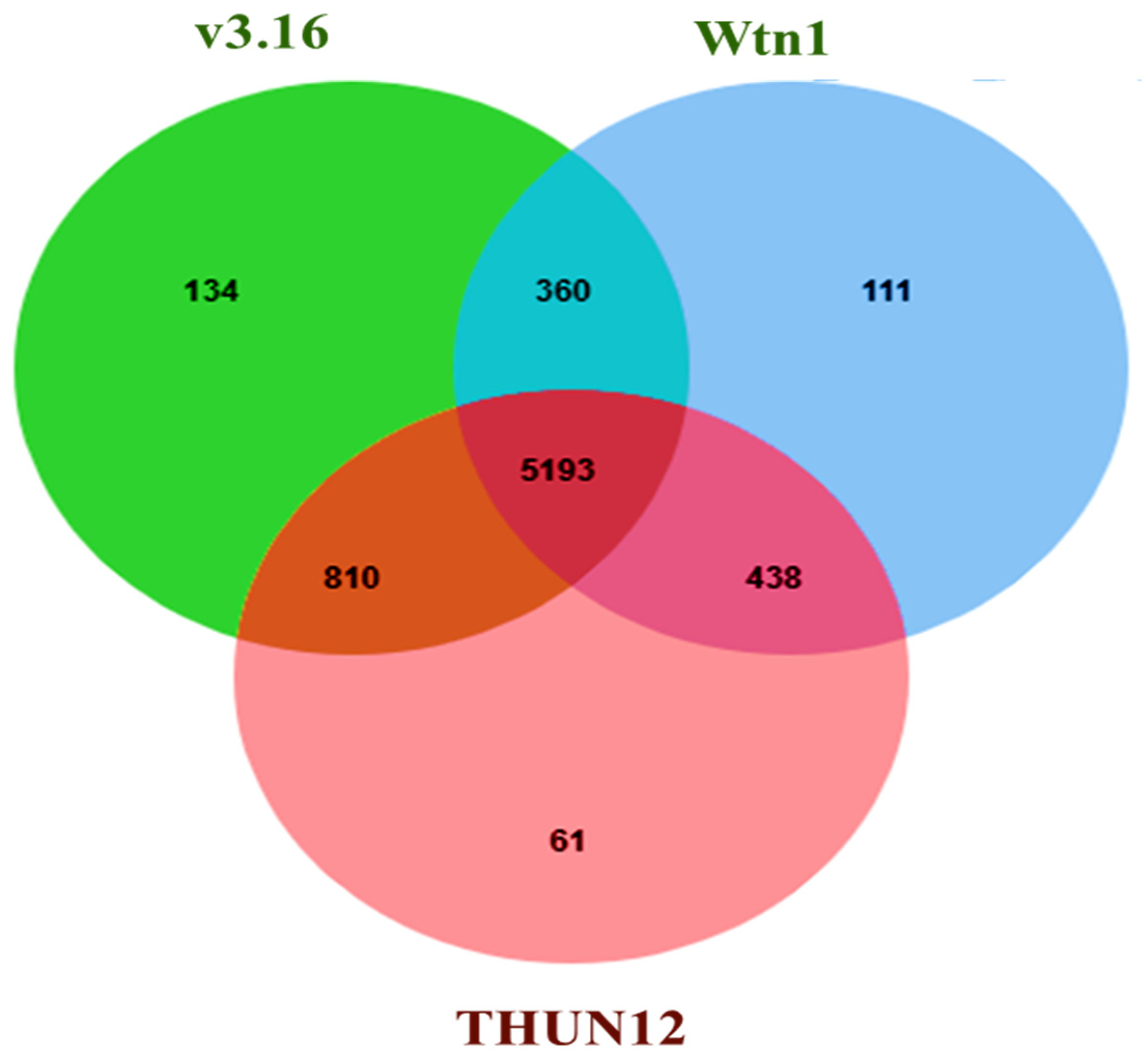 Jof 10 00267 g006 Jof 10 00267 g006
