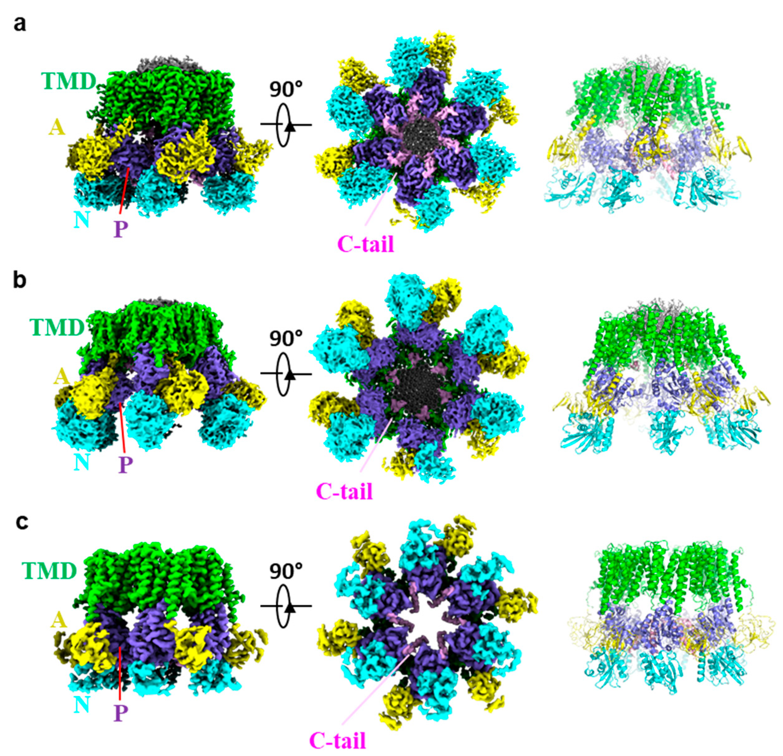 Jof 10 00273 g003 Jof 10 00273 g003