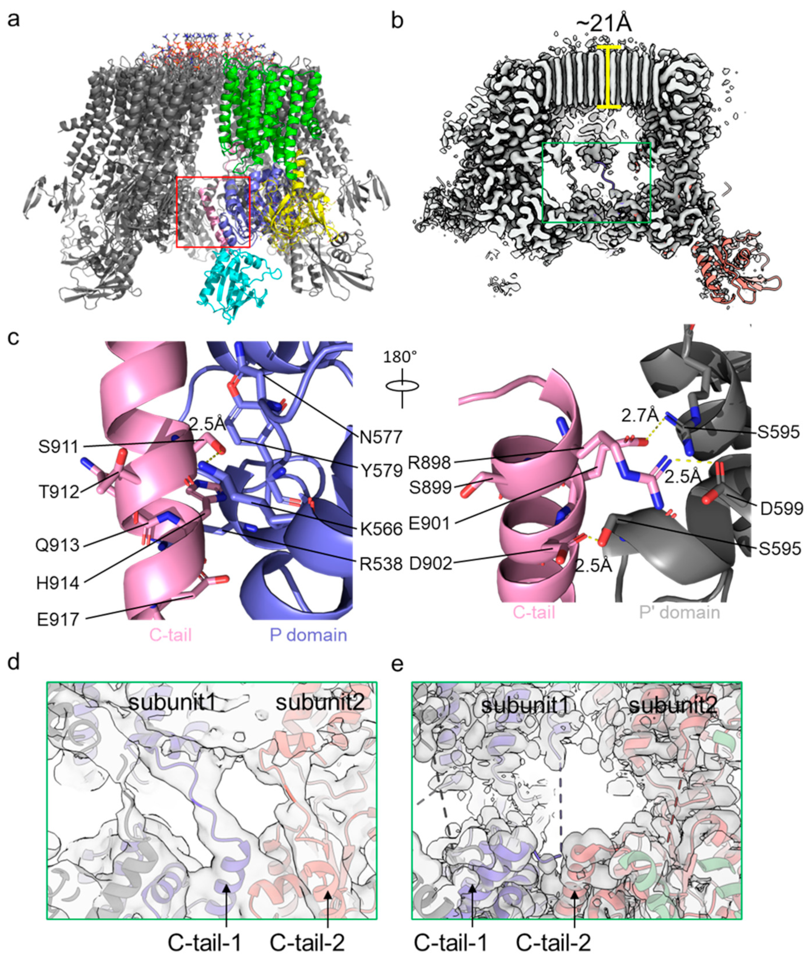 Jof 10 00273 g004 Jof 10 00273 g004