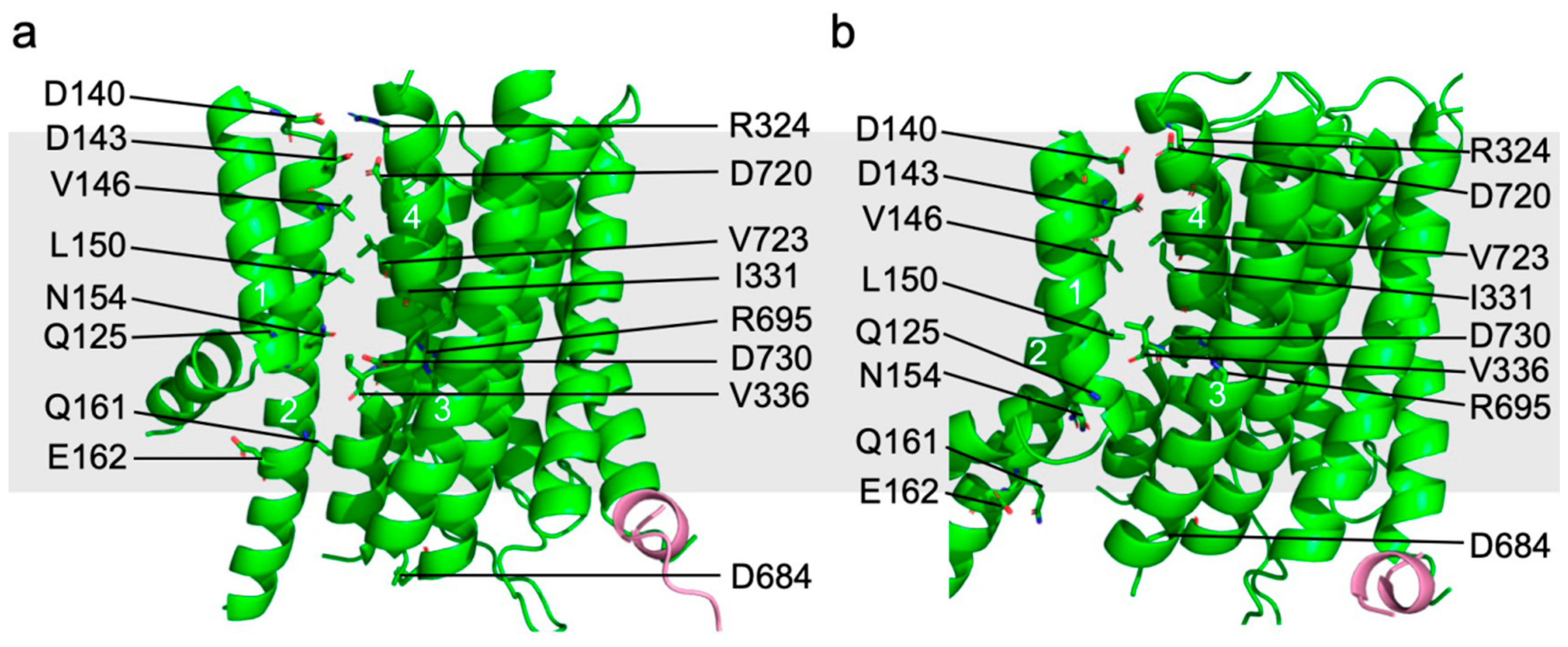 Jof 10 00273 g005 Jof 10 00273 g005
