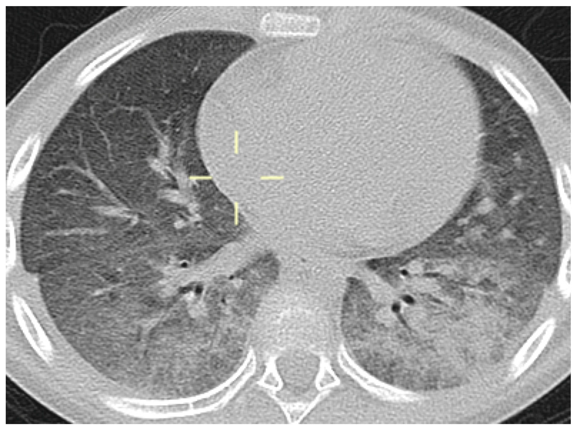 Jof 10 00276 g002 Jof 10 00276 g002