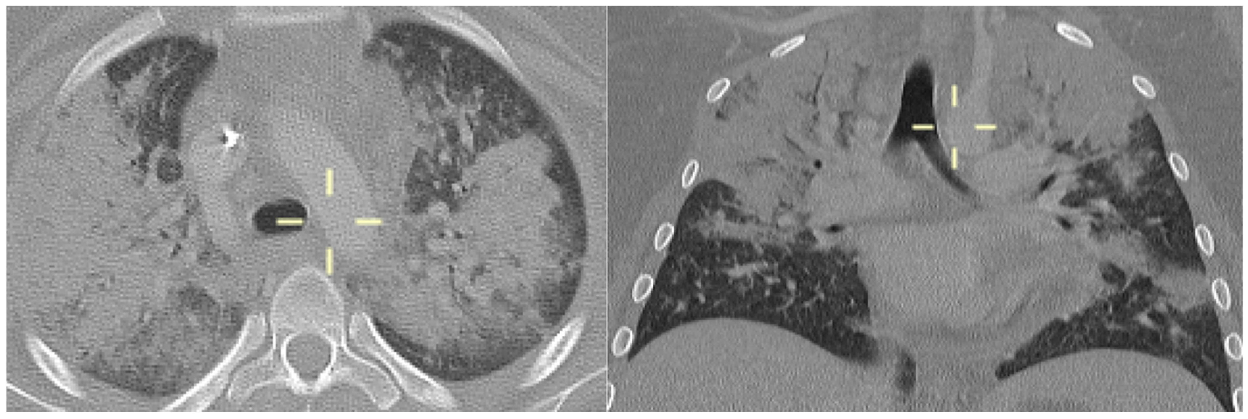 Jof 10 00276 g003 Jof 10 00276 g003