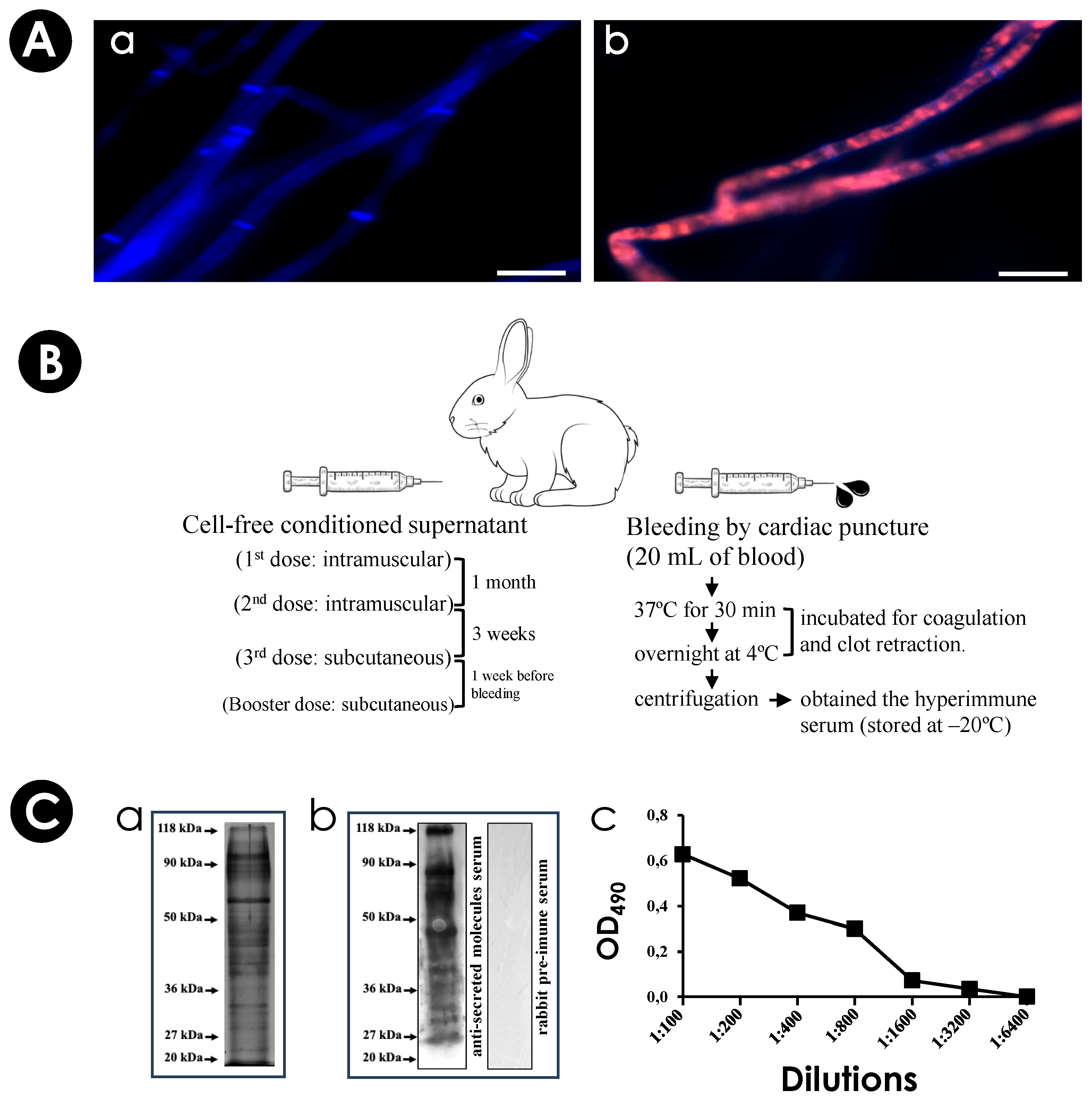 Jof 10 00277 g001 Jof 10 00277 g001