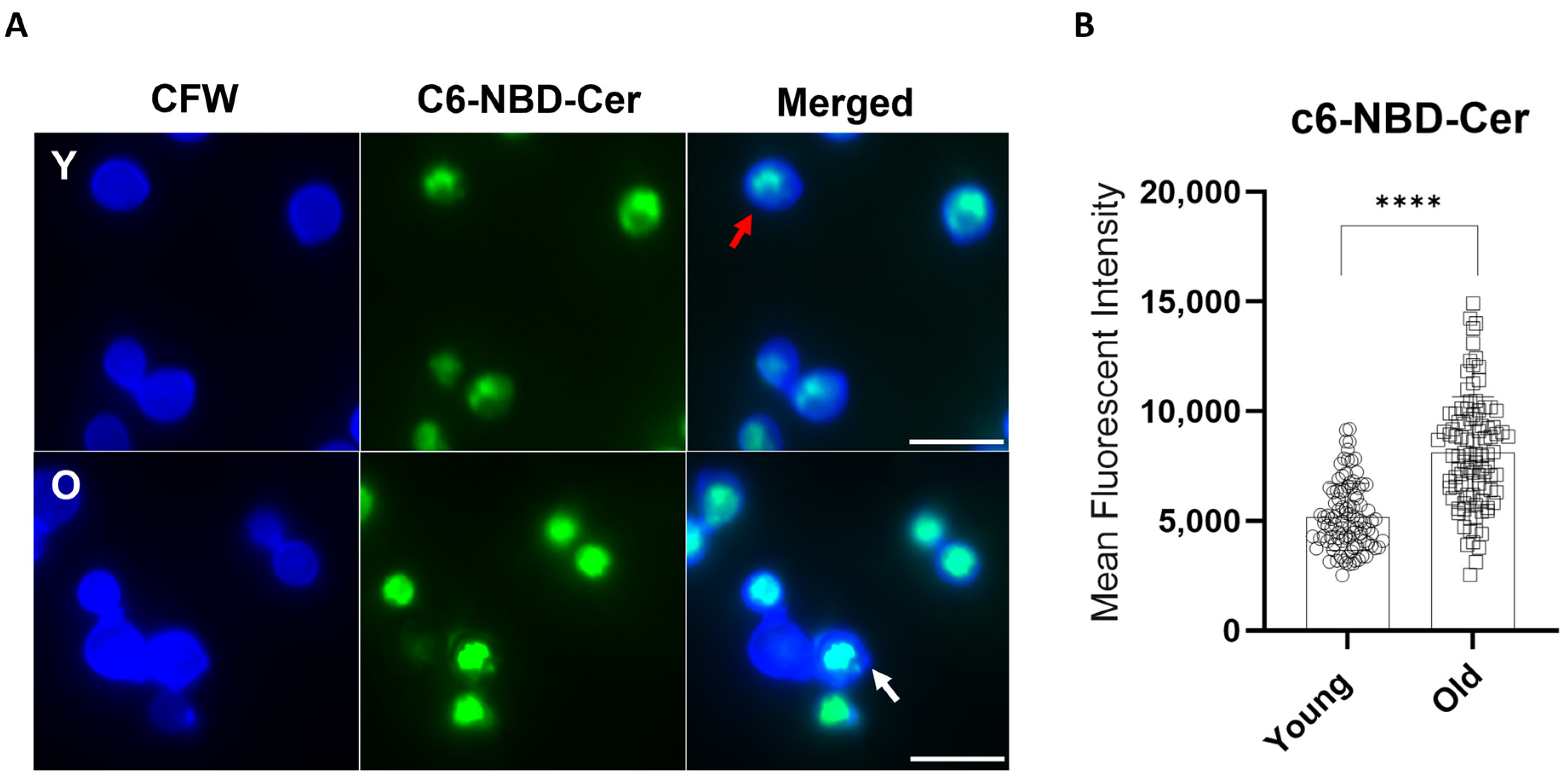 Jof 10 00279 g002 Jof 10 00279 g002