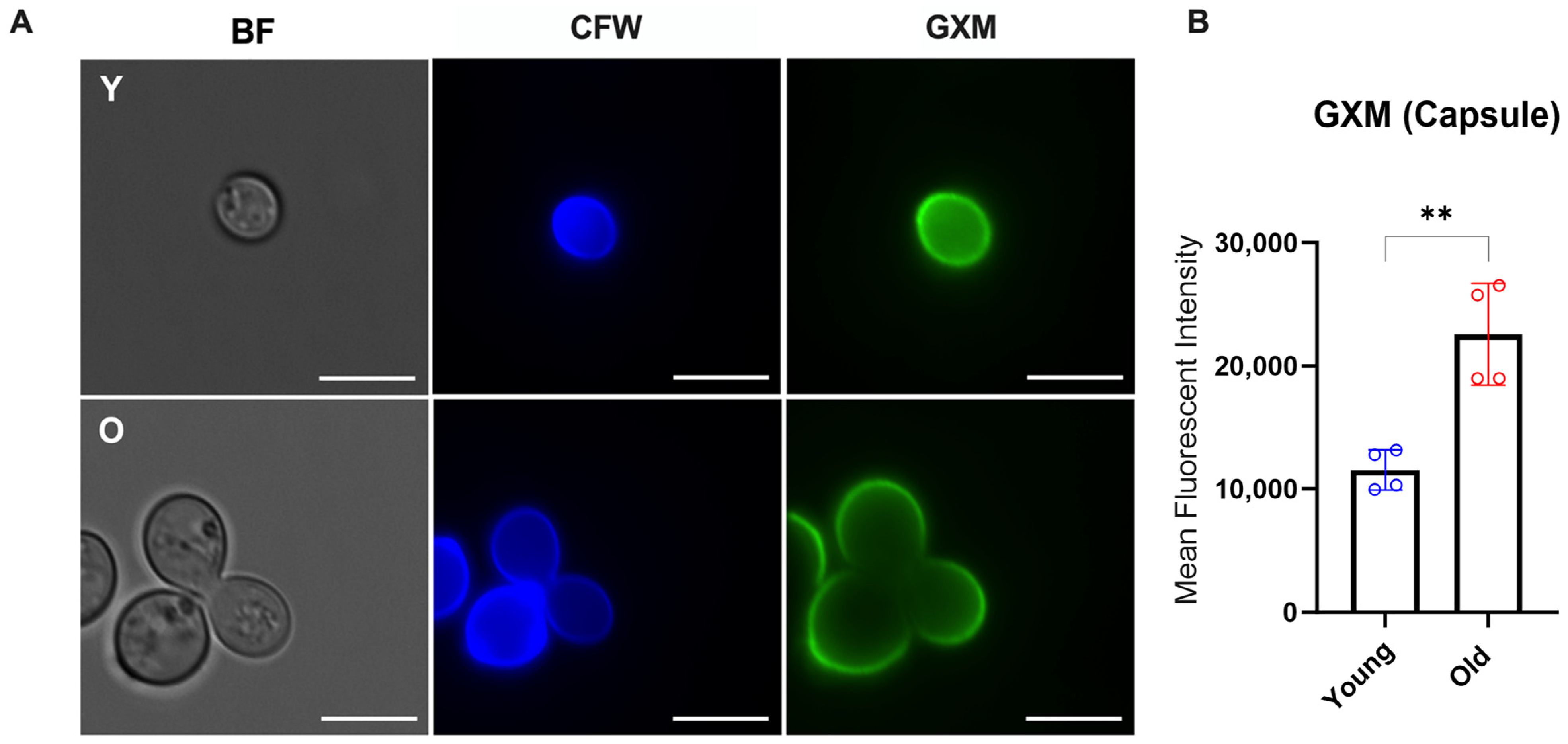 Jof 10 00279 g003 Jof 10 00279 g003
