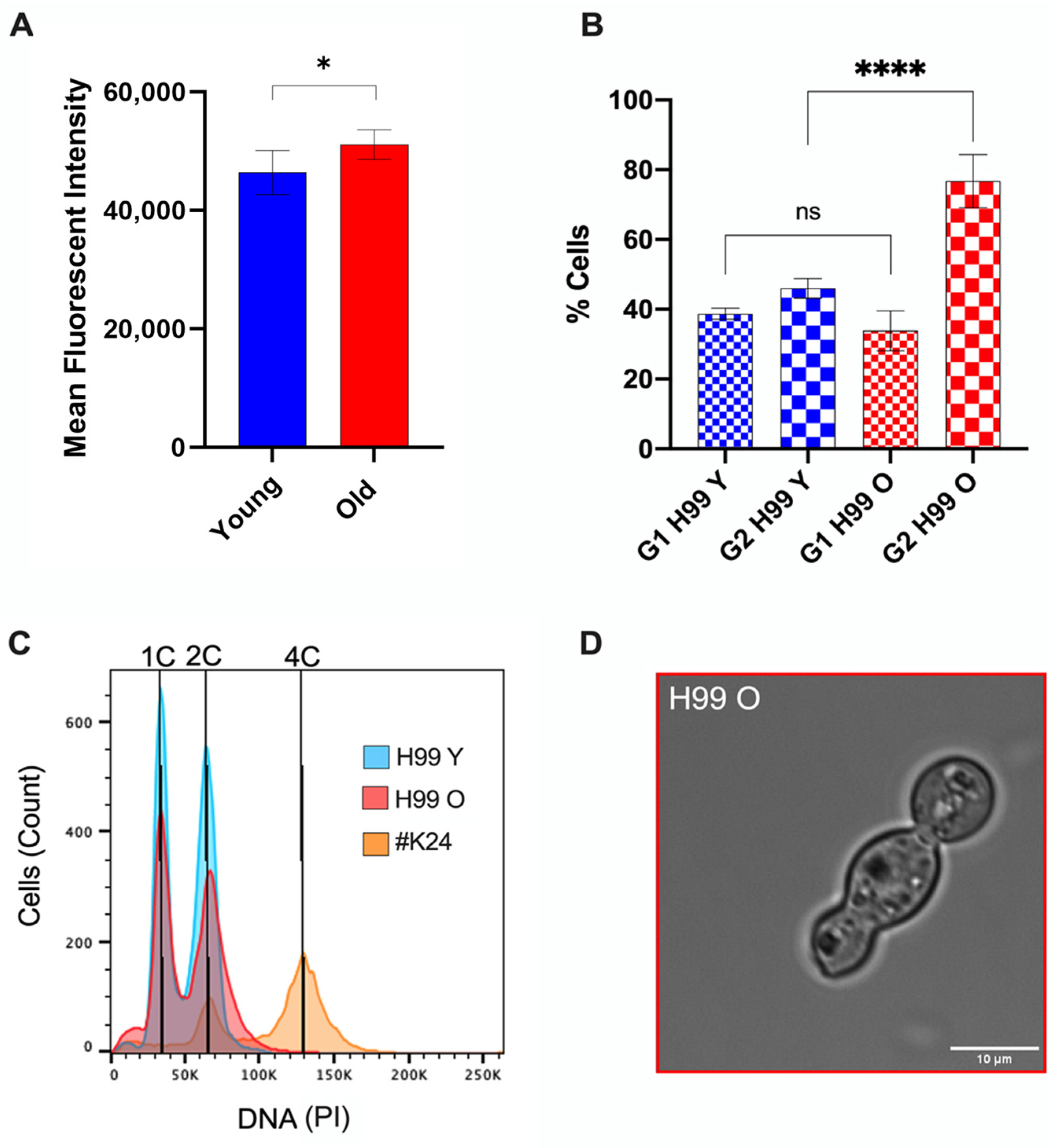 Jof 10 00279 g004 Jof 10 00279 g004