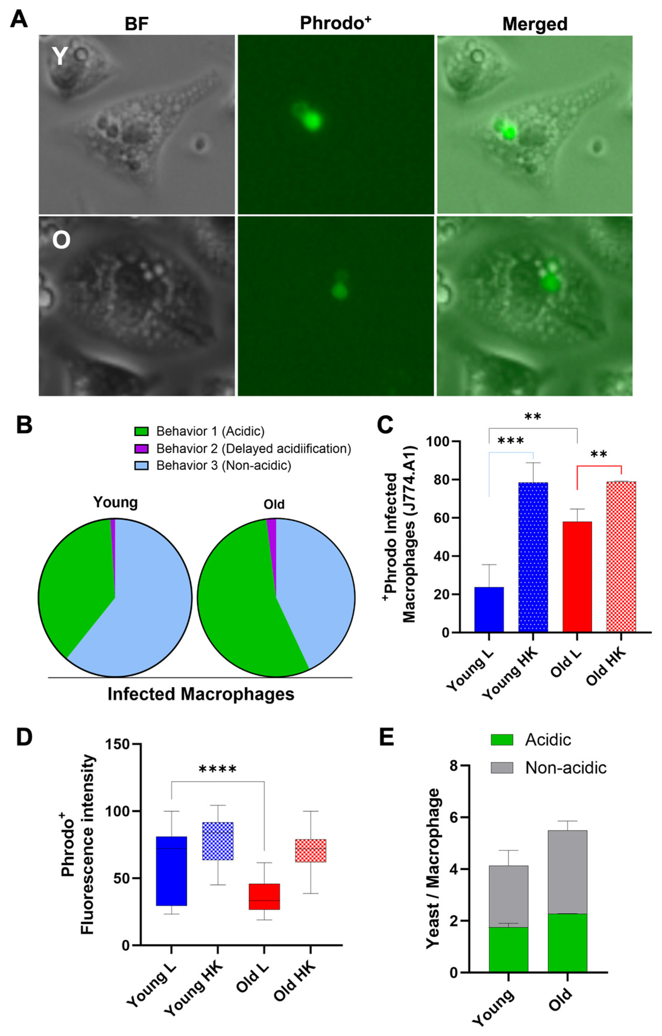 Jof 10 00279 g006 Jof 10 00279 g006