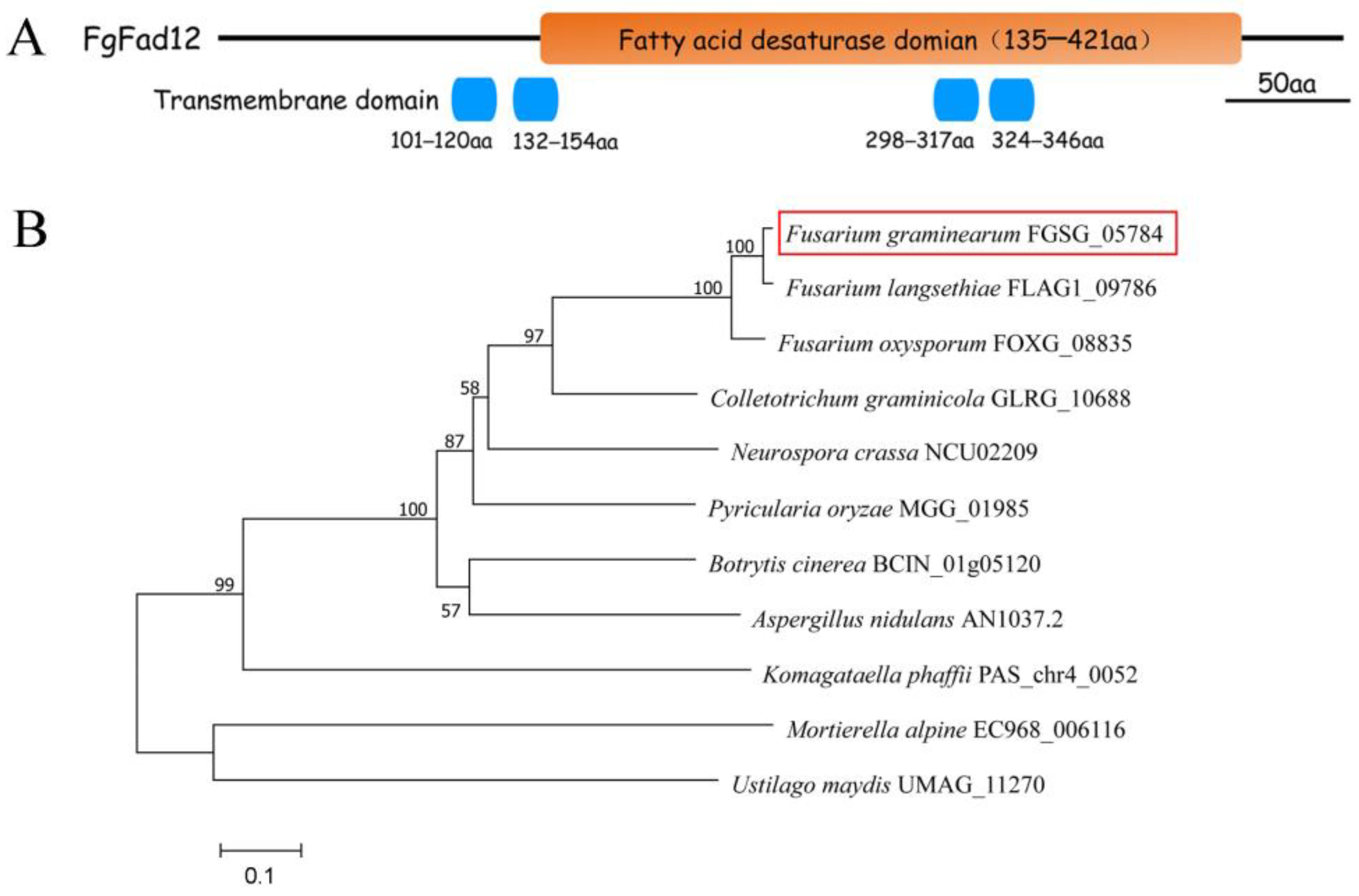 Jof 10 00288 g001 Jof 10 00288 g001