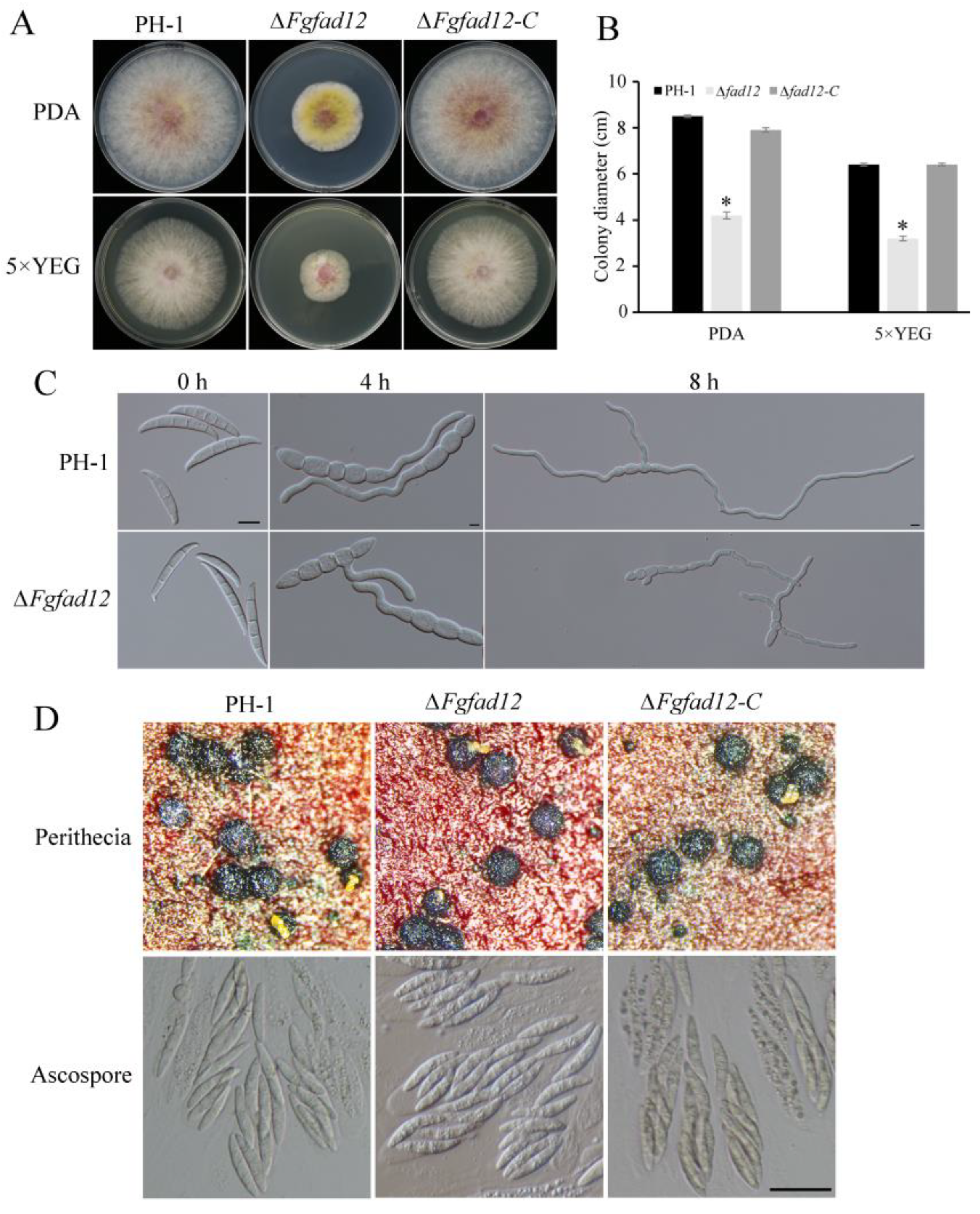 Jof 10 00288 g002 Jof 10 00288 g002