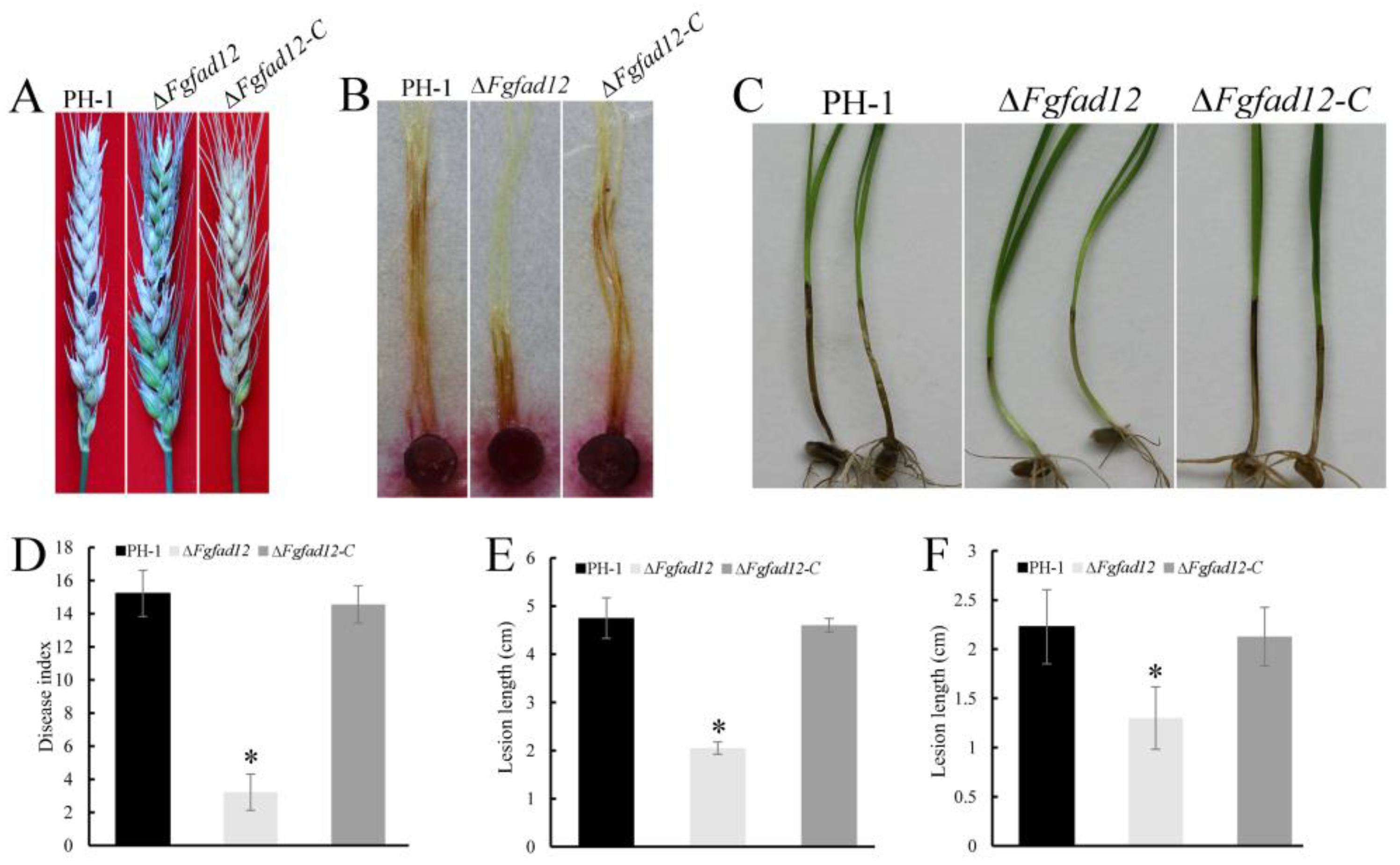 Jof 10 00288 g004 Jof 10 00288 g004