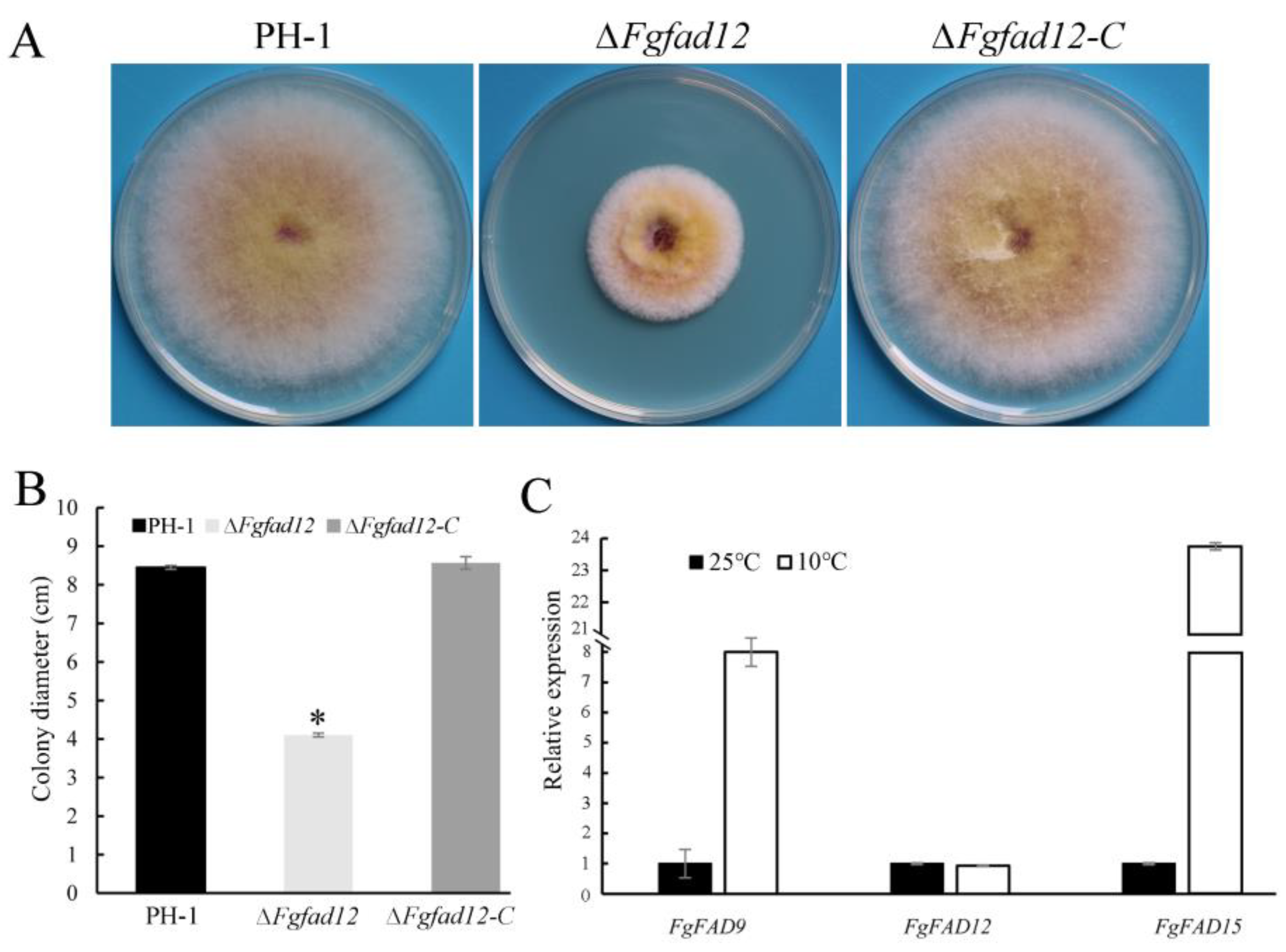 Jof 10 00288 g006 Jof 10 00288 g006