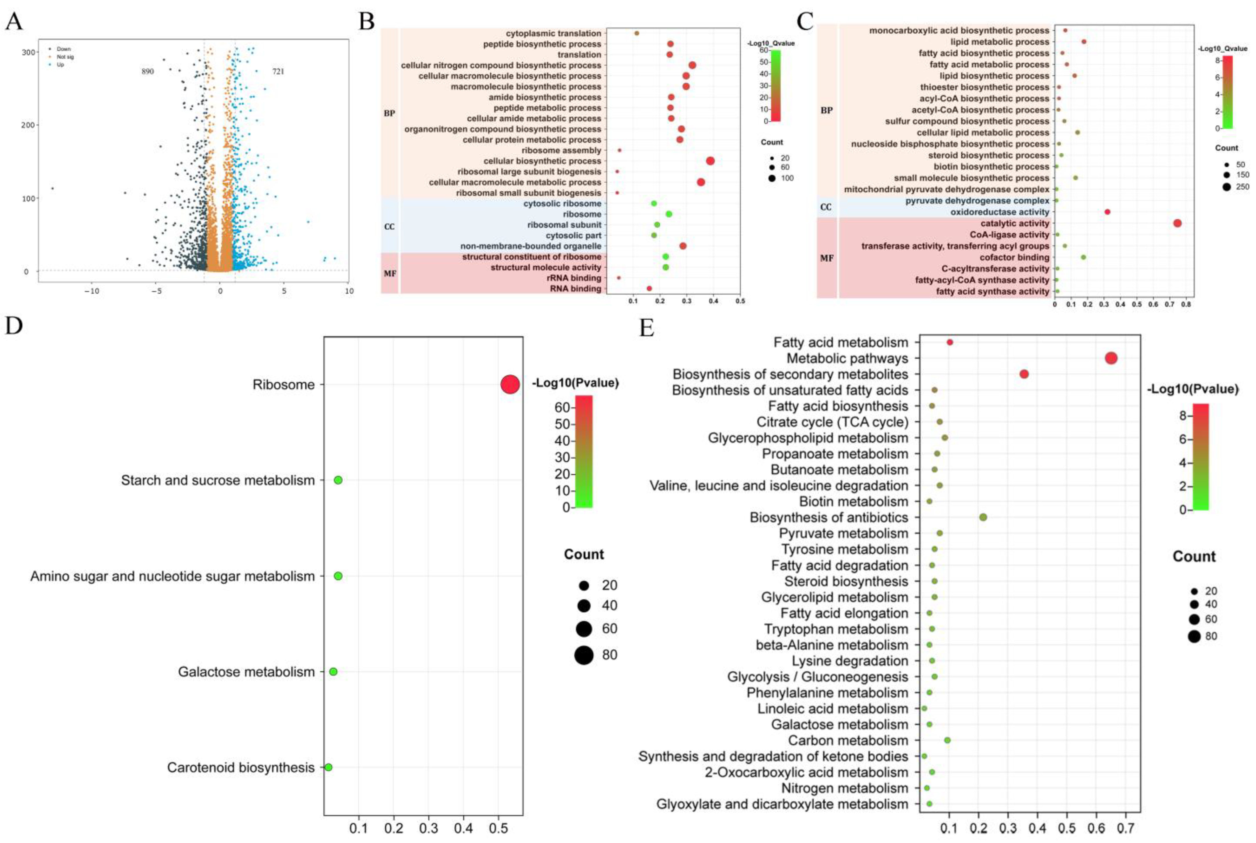 Jof 10 00288 g007 Jof 10 00288 g007