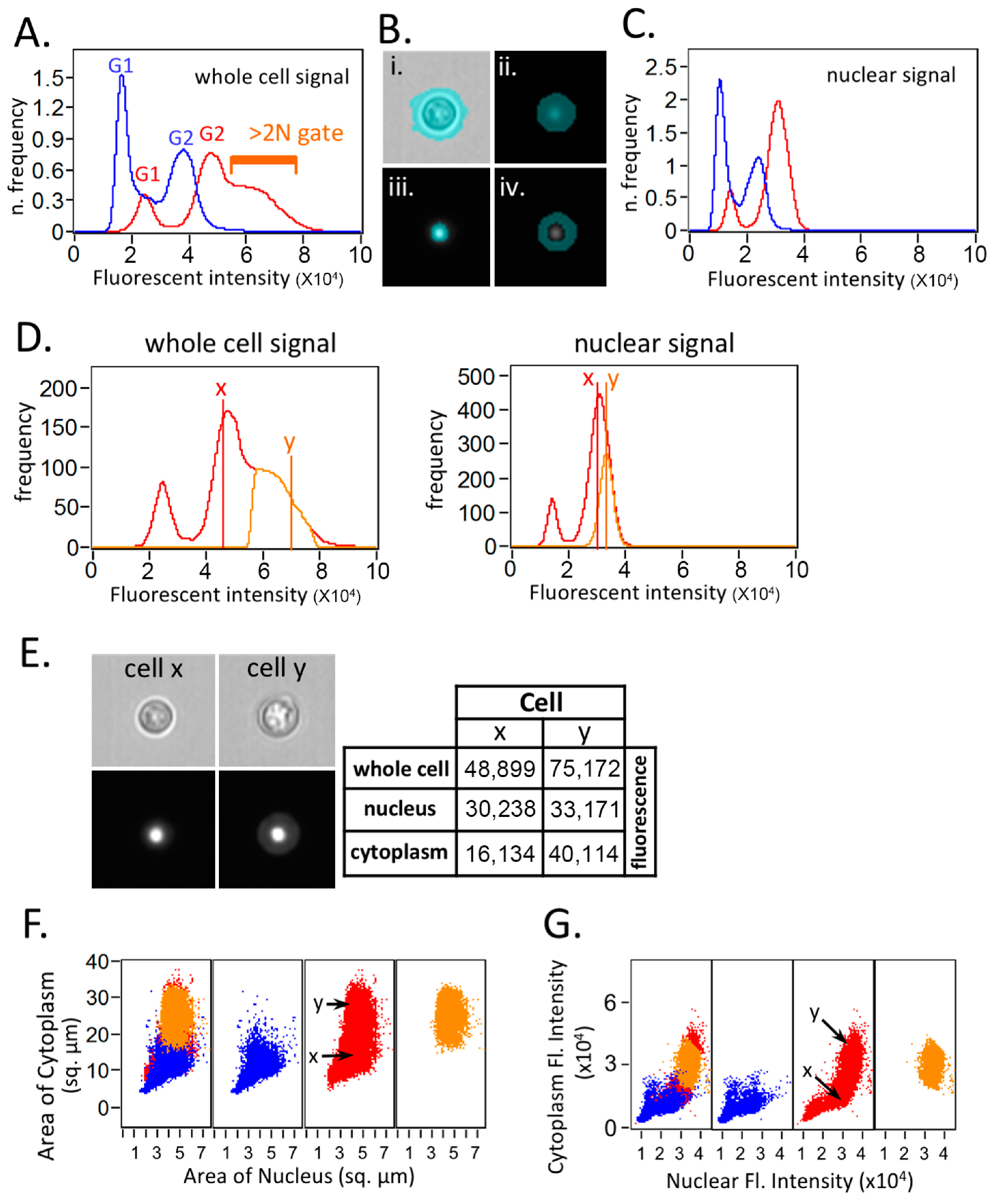Jof 10 00296 g002 Jof 10 00296 g002
