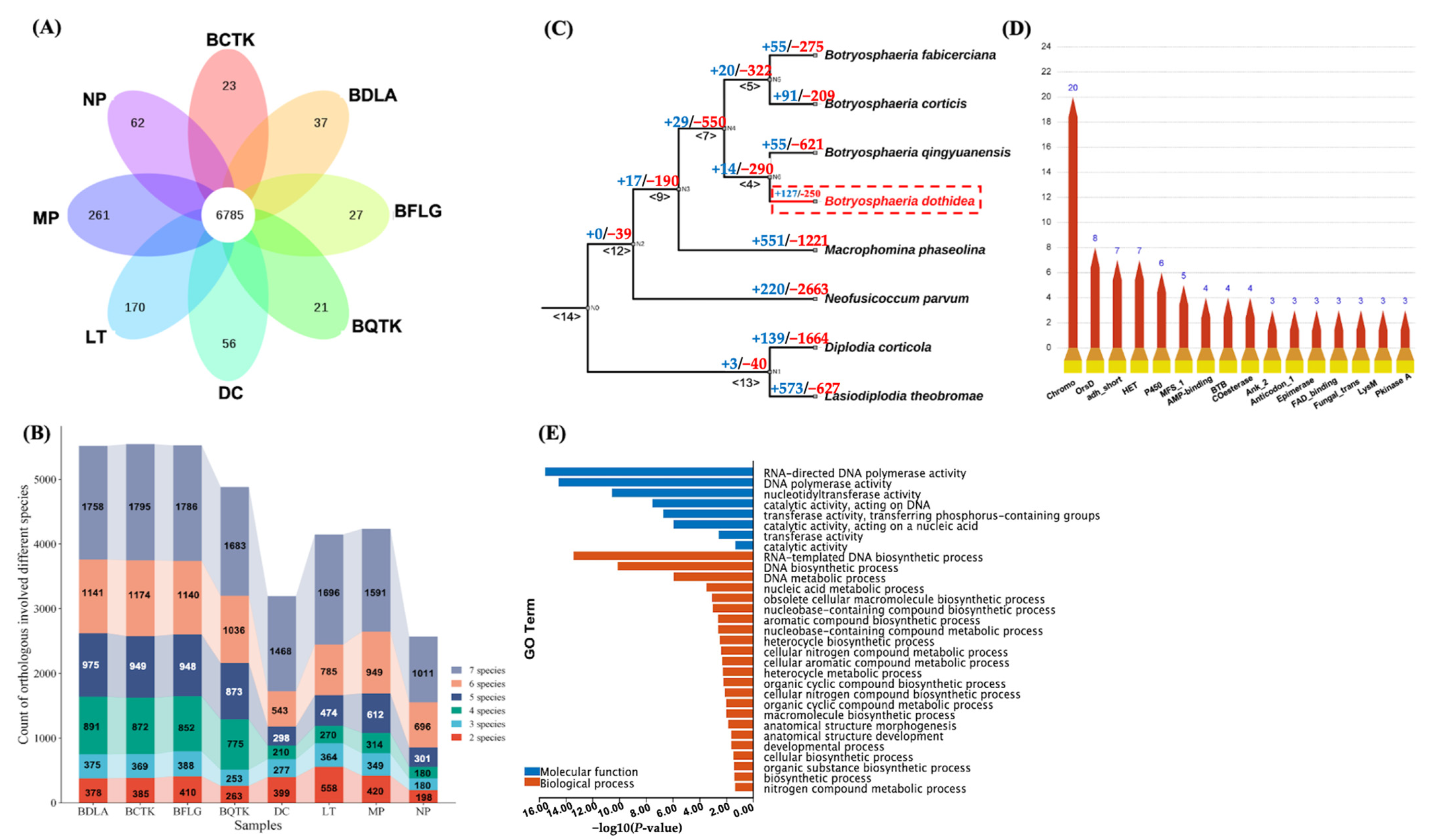 Jof 10 00299 g003 Jof 10 00299 g003