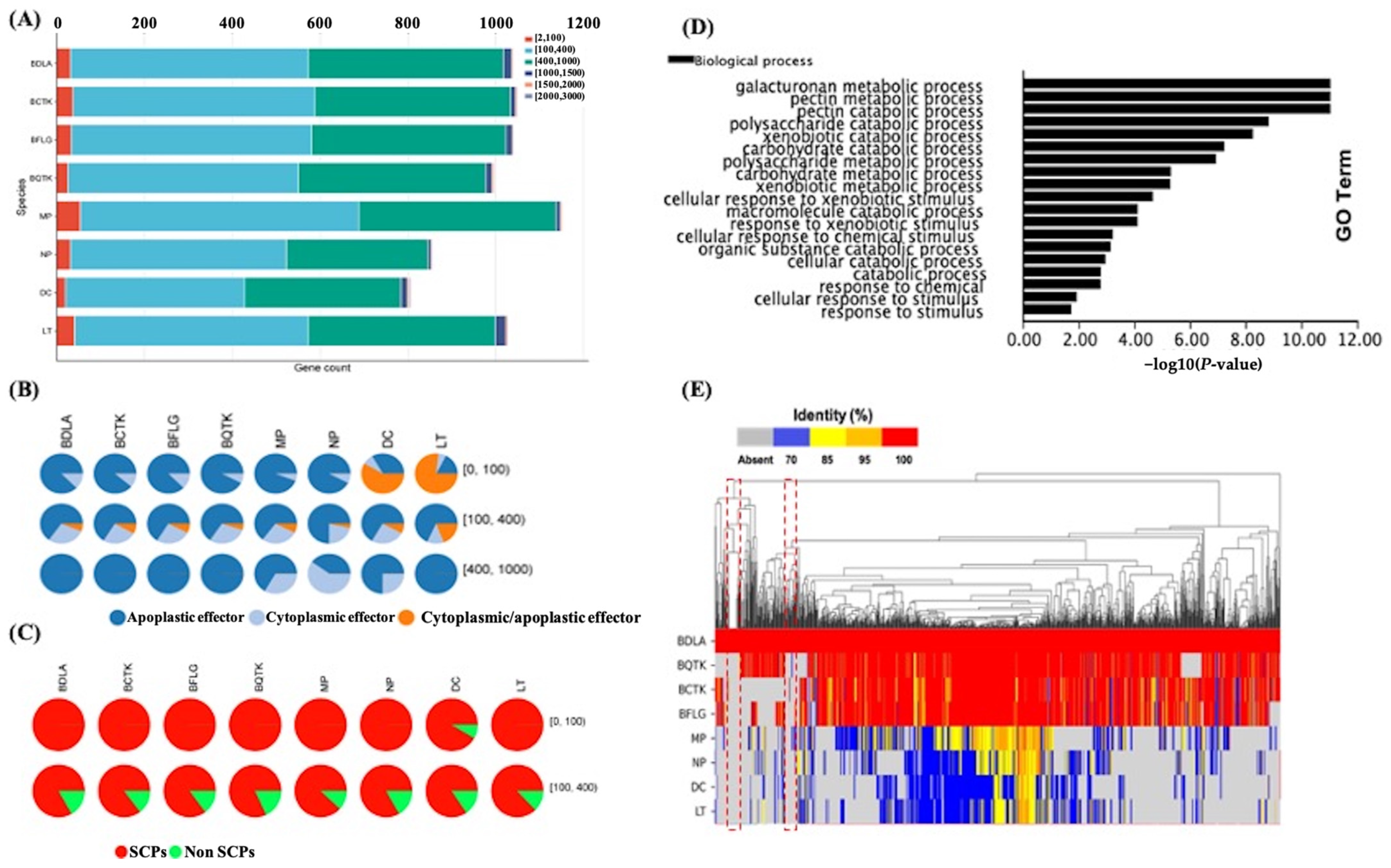Jof 10 00299 g005 Jof 10 00299 g005