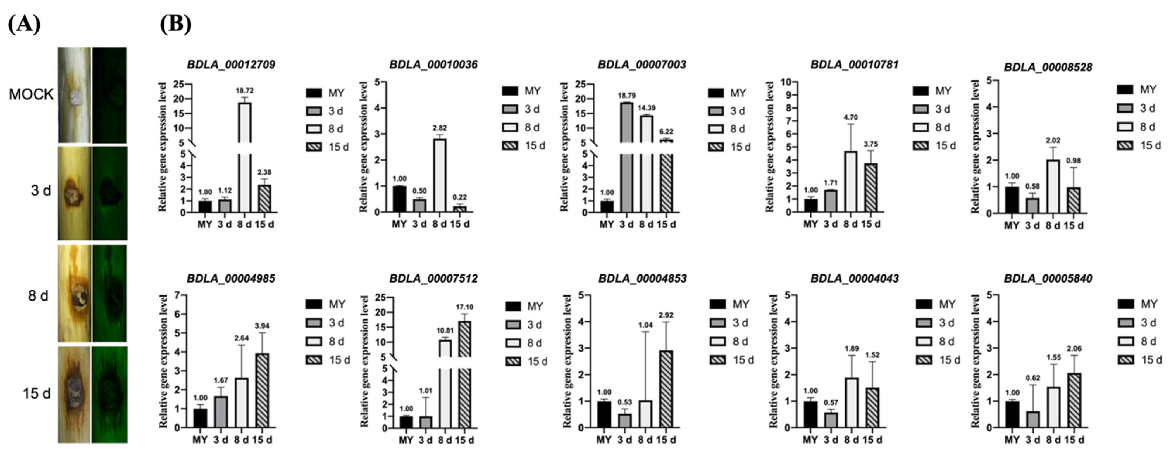 Jof 10 00299 g006 Jof 10 00299 g006