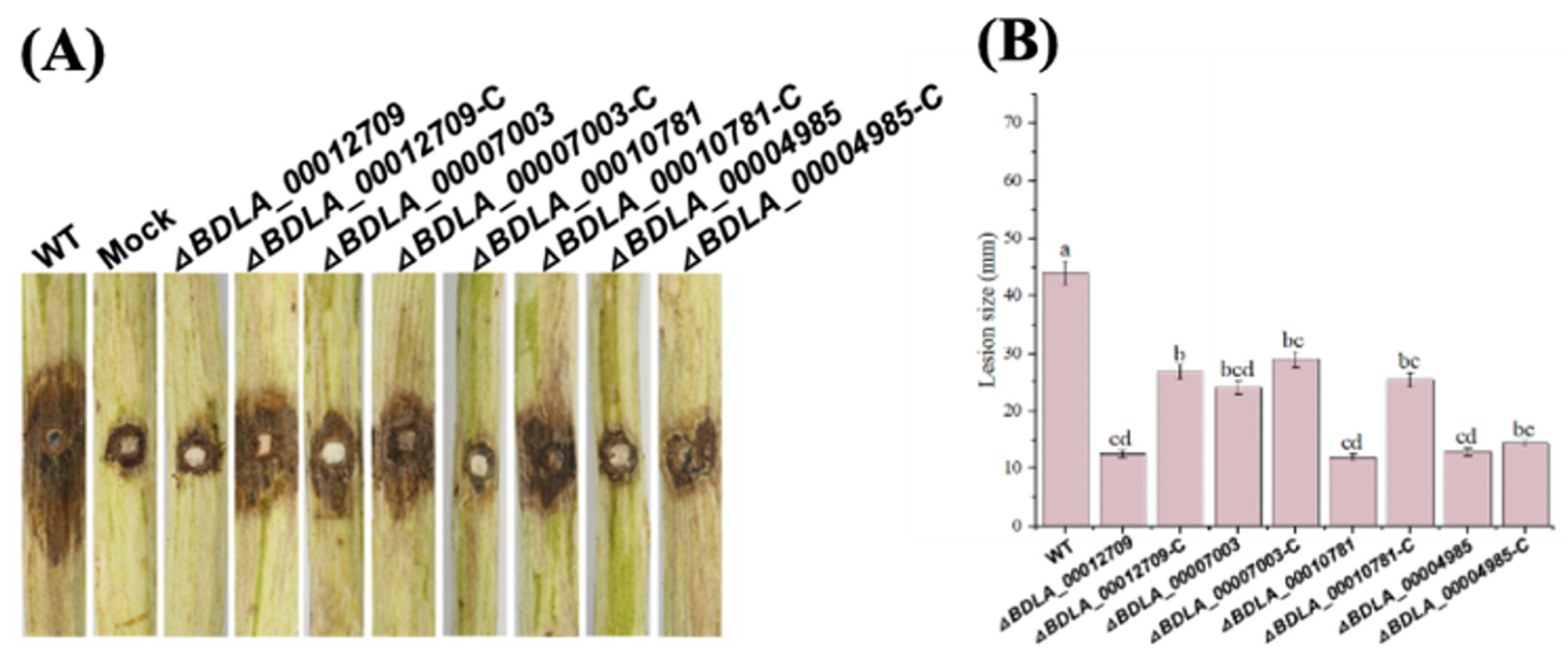 Jof 10 00299 g007 Jof 10 00299 g007