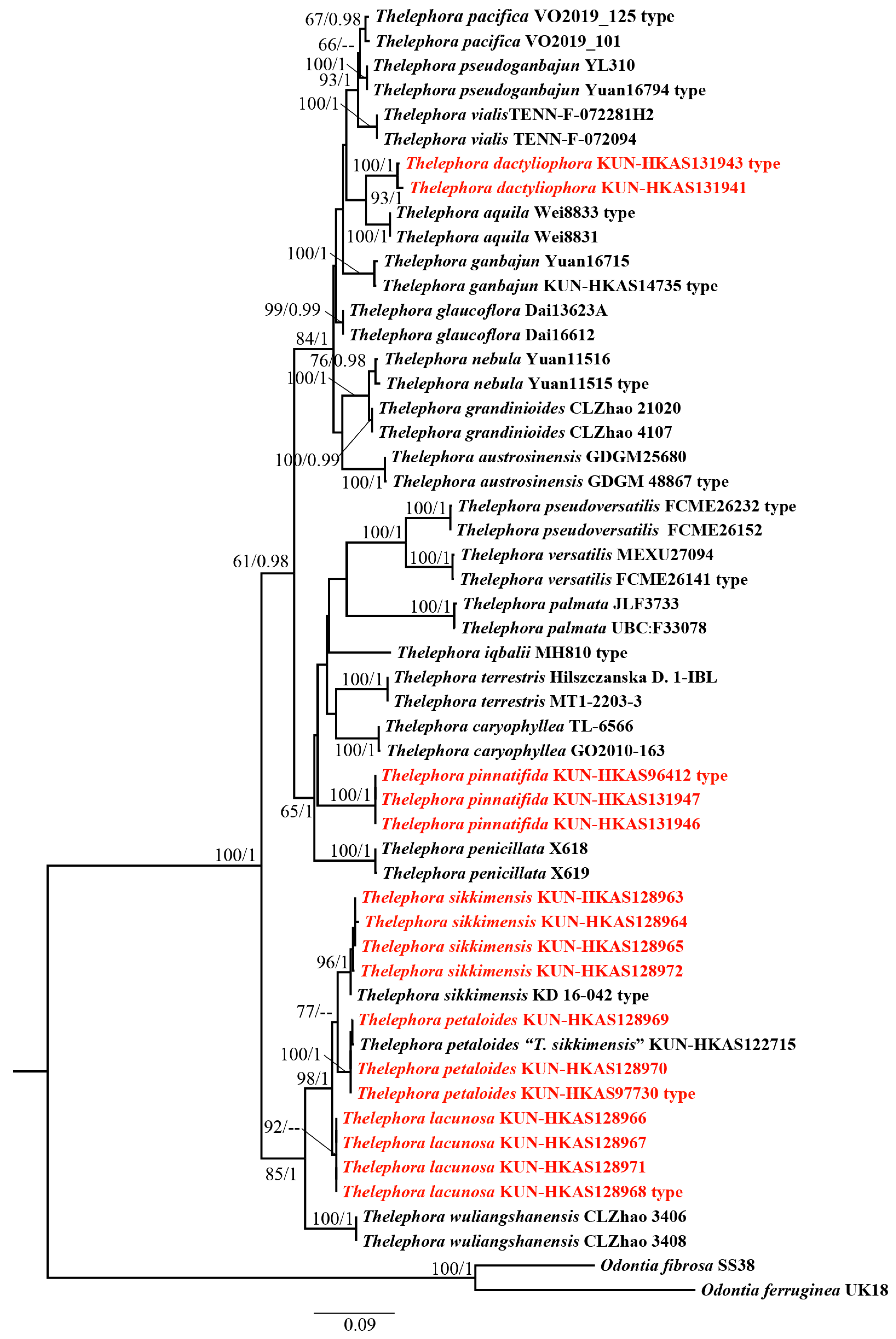 Jof 10 00300 g001 Jof 10 00300 g001
