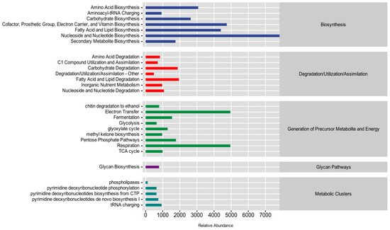 The Diversity and Community Composition of Three Plants