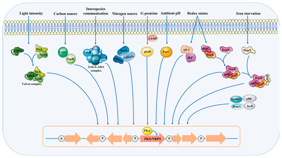 Frontiers | Preoperative plasma fibrinogen and C-reactive