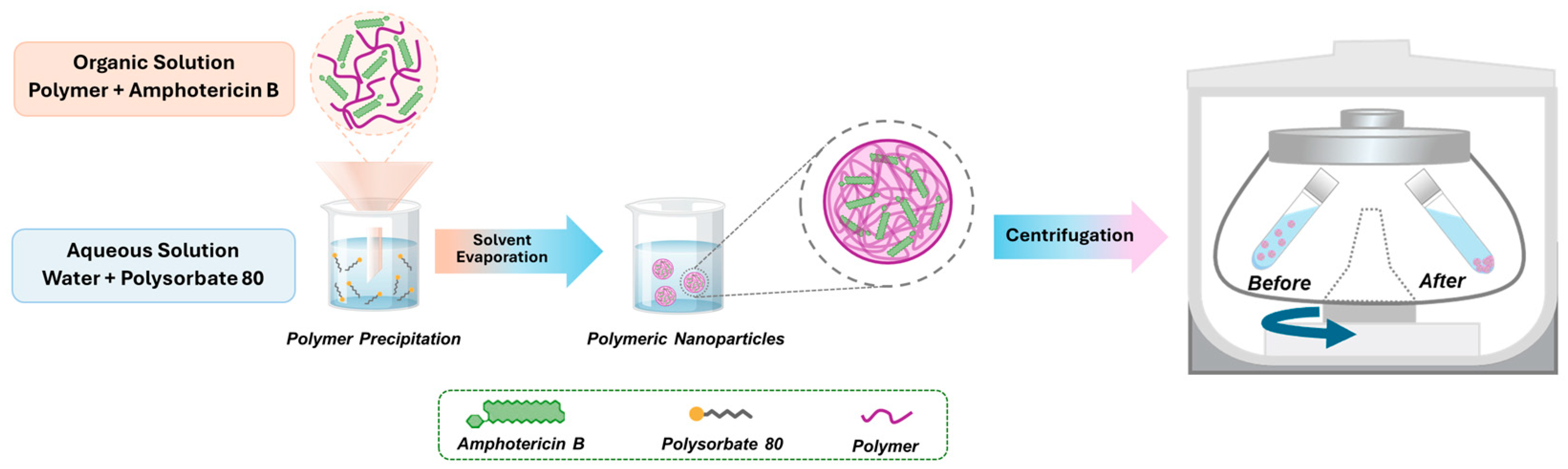 Jof 10 00344 g001 Jof 10 00344 g001