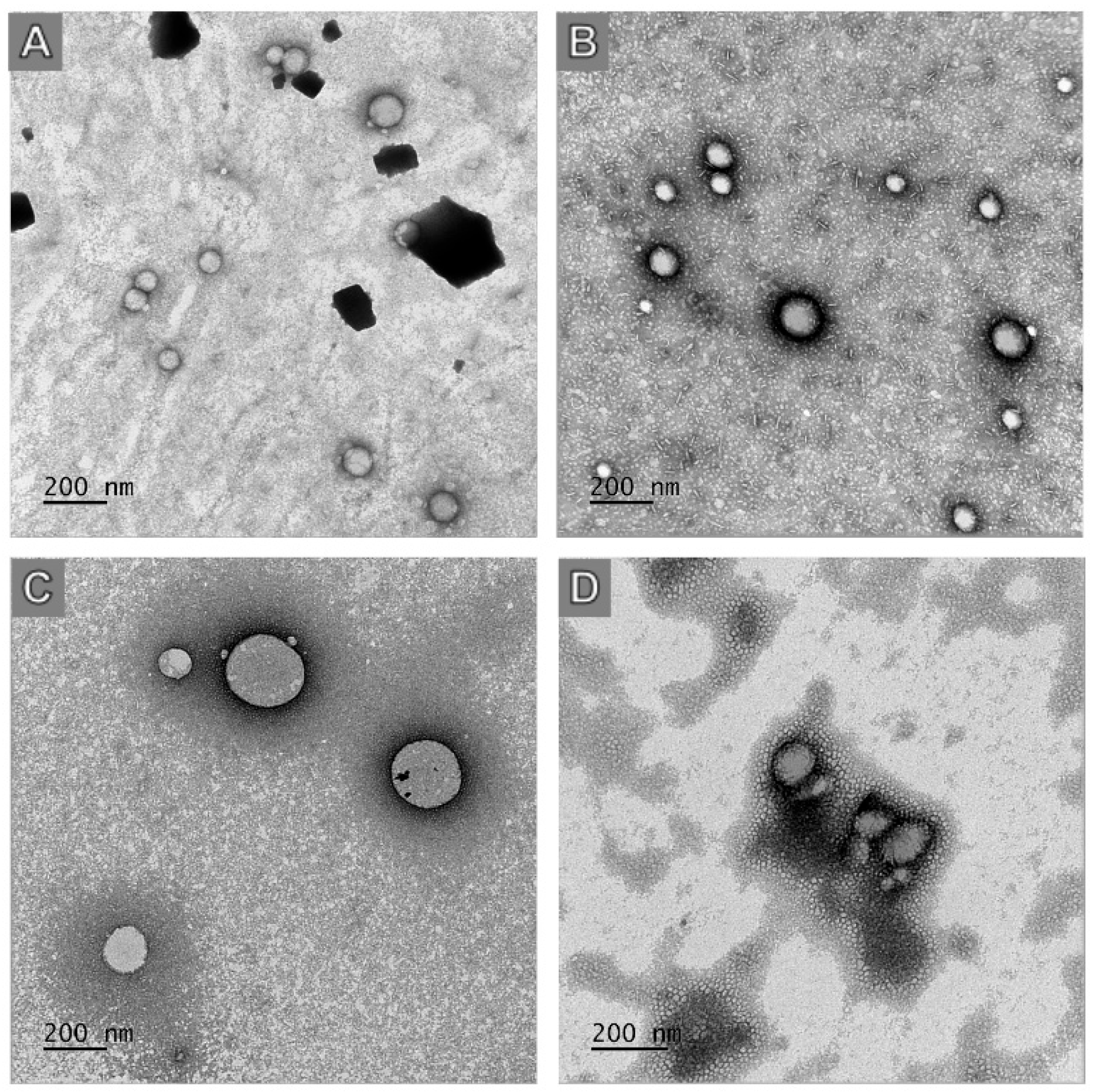 Jof 10 00344 g004 Jof 10 00344 g004