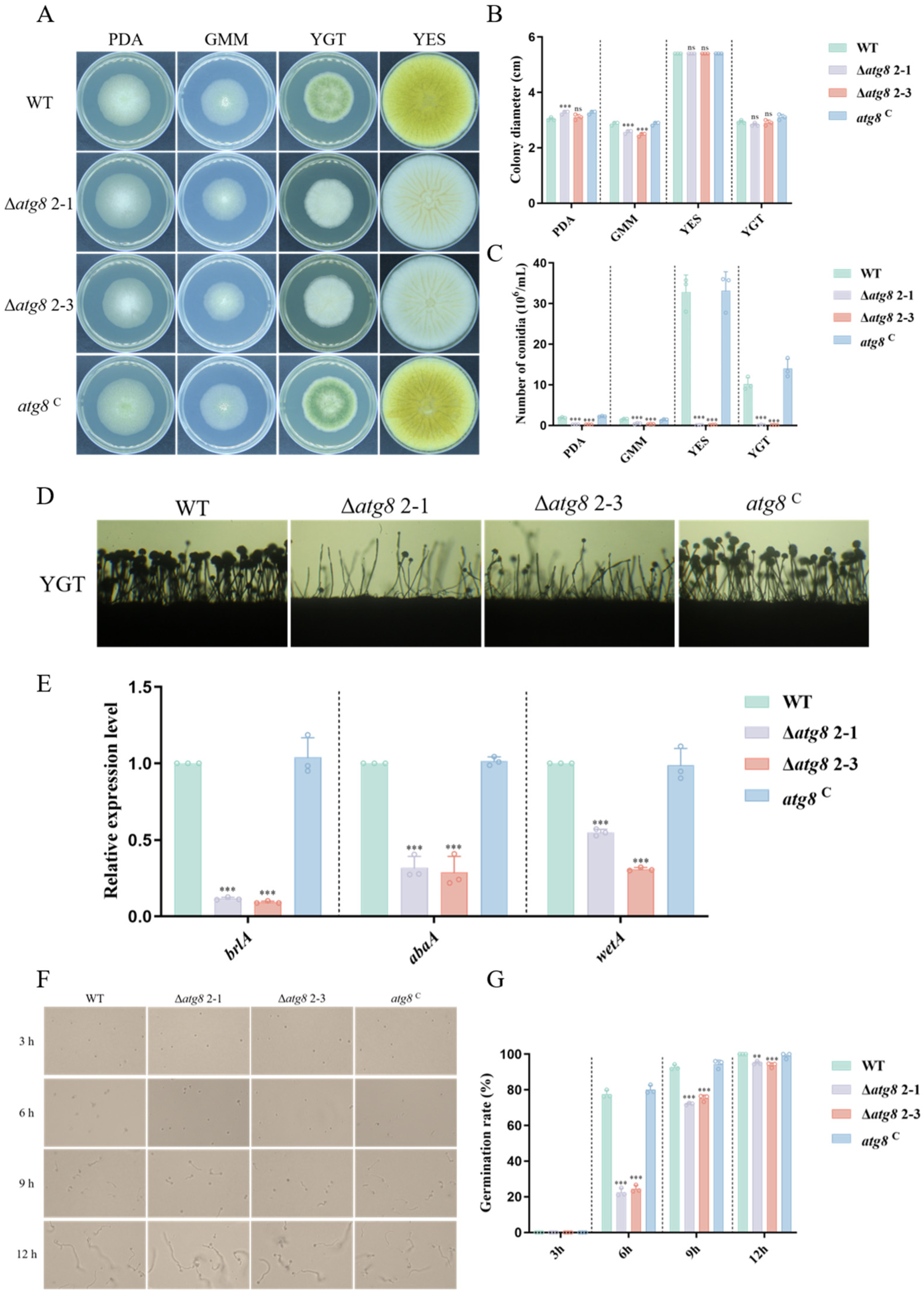 Jof 10 00349 g002 Jof 10 00349 g002