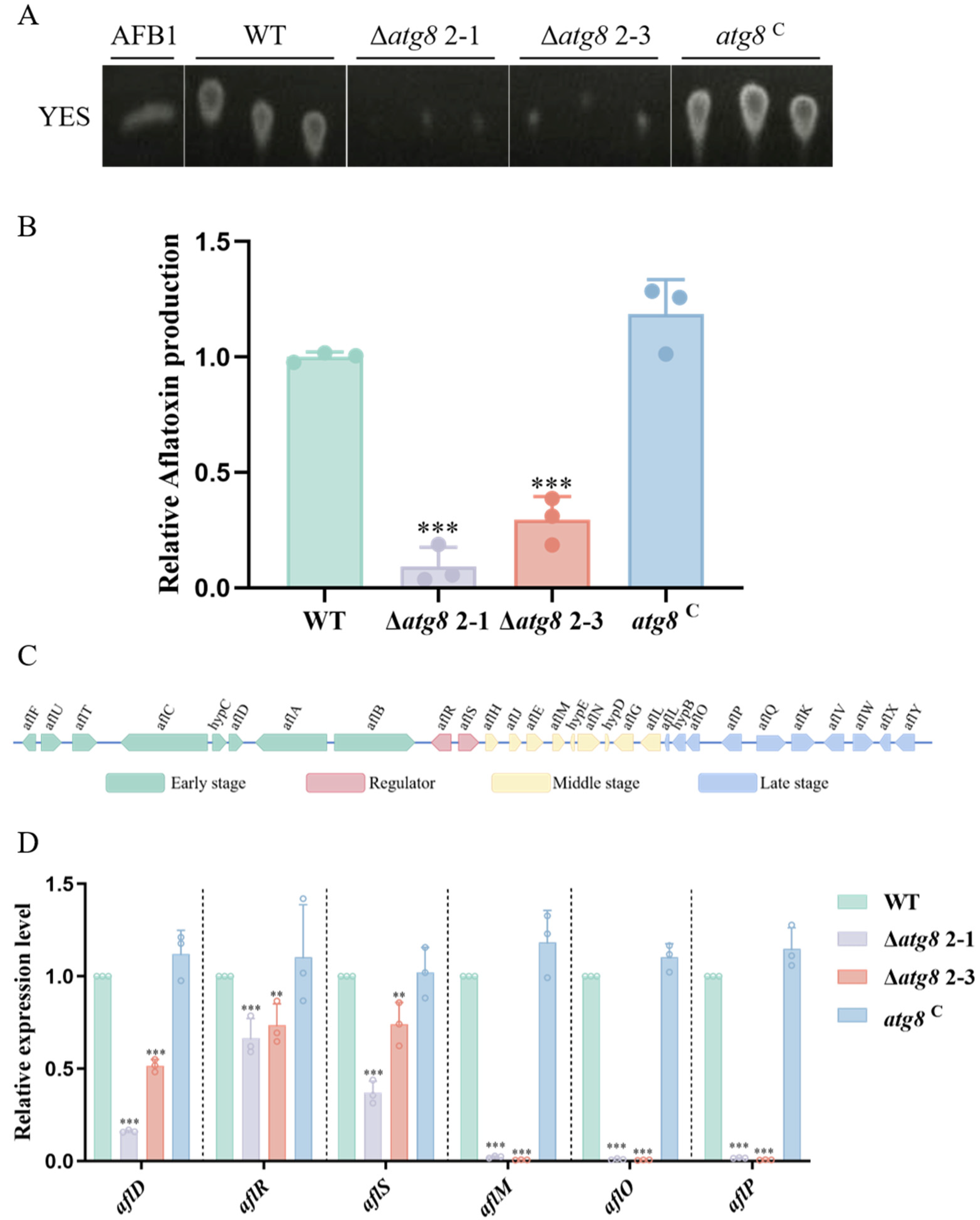 Jof 10 00349 g004 Jof 10 00349 g004