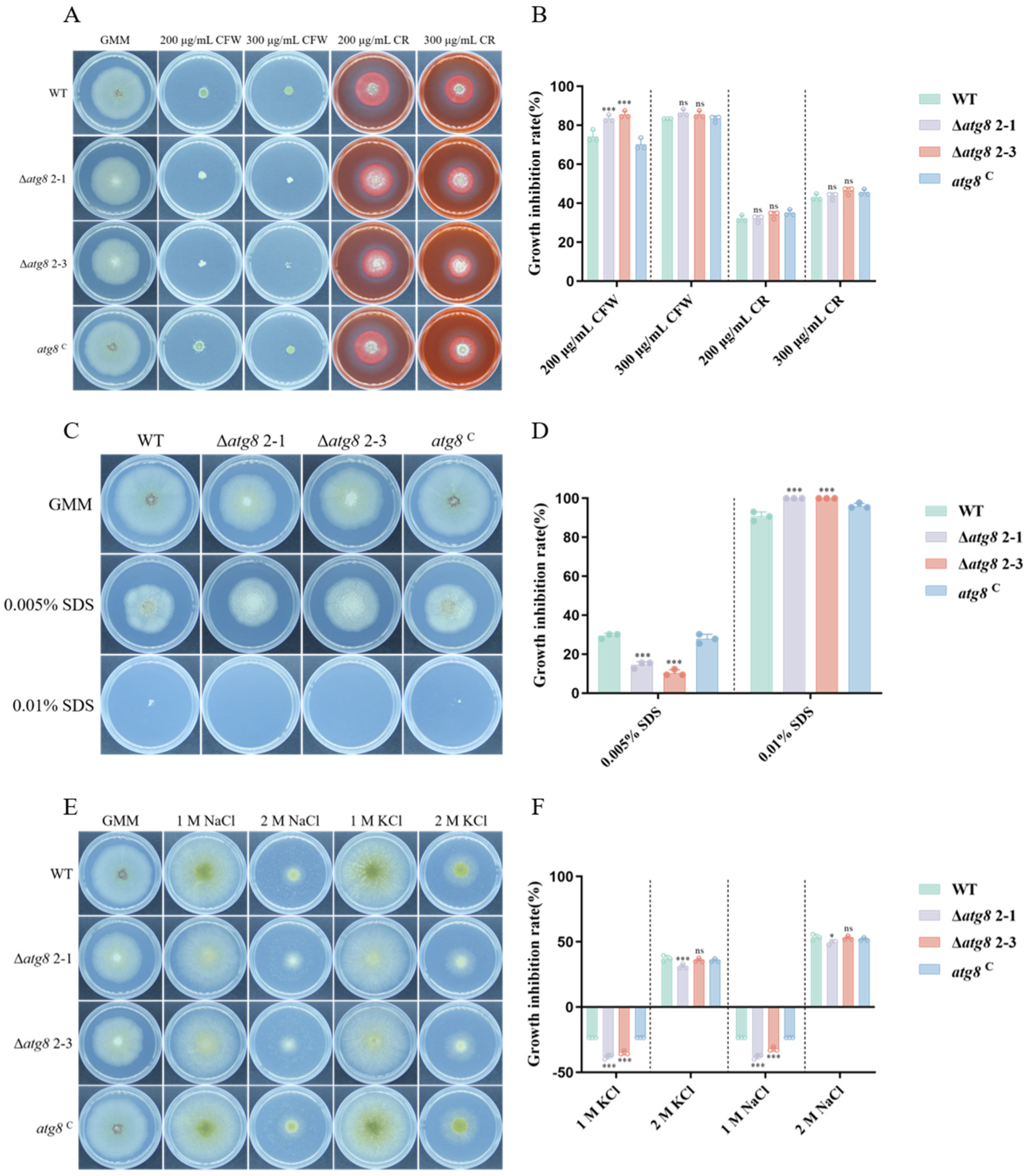 Jof 10 00349 g005 Jof 10 00349 g005