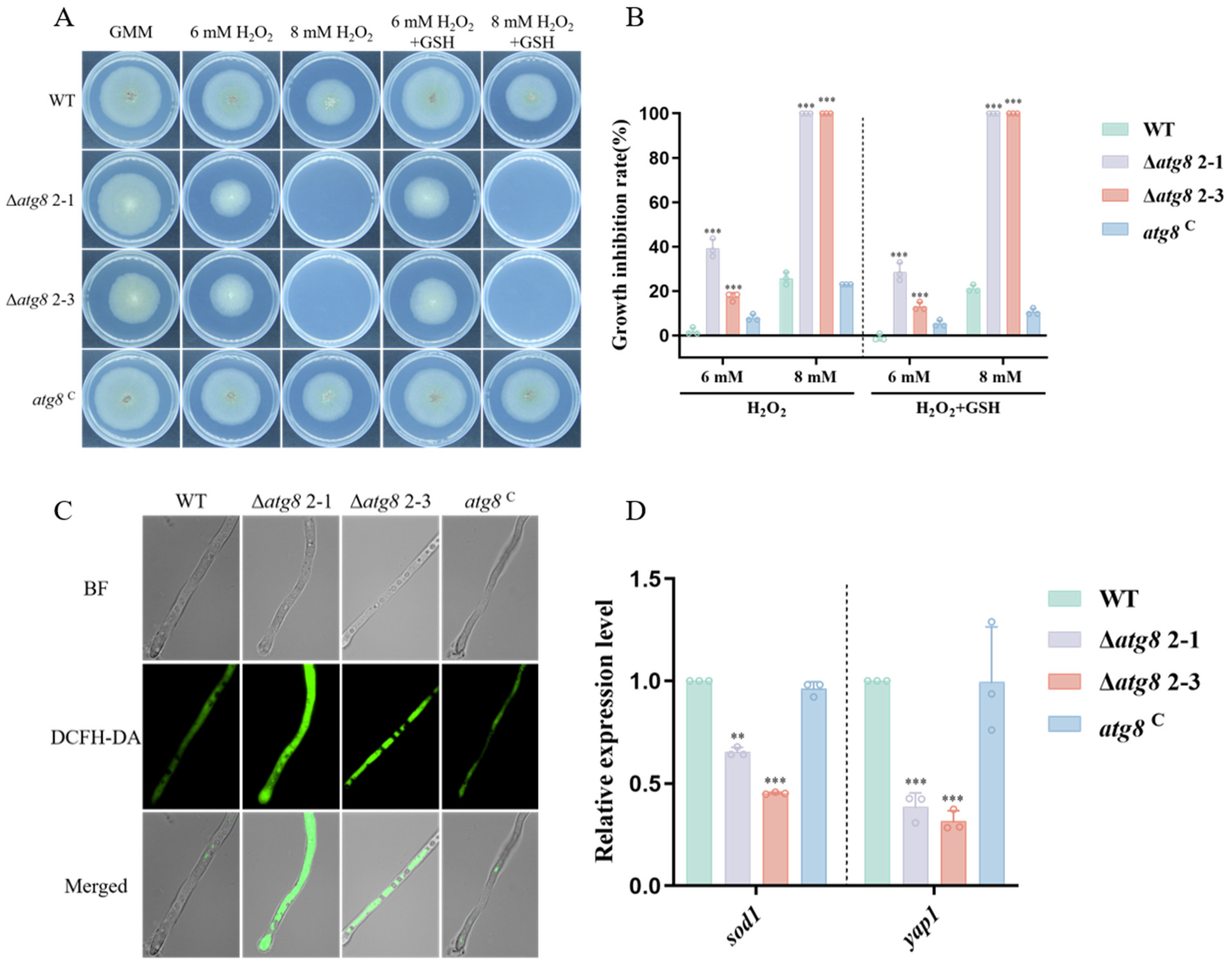 Jof 10 00349 g006 Jof 10 00349 g006