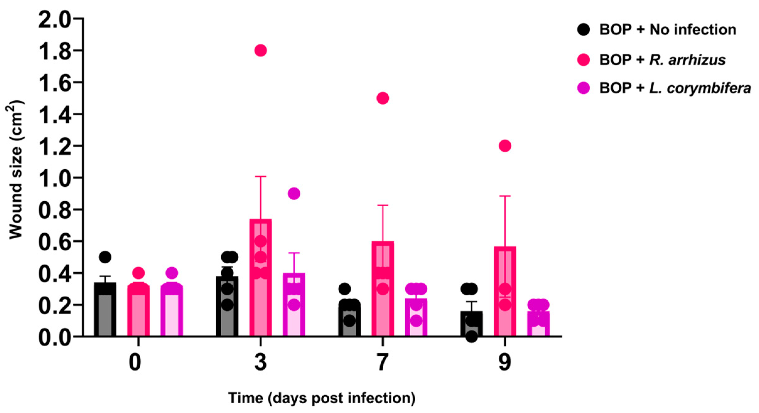 Jof 10 00364 g001 Jof 10 00364 g001
