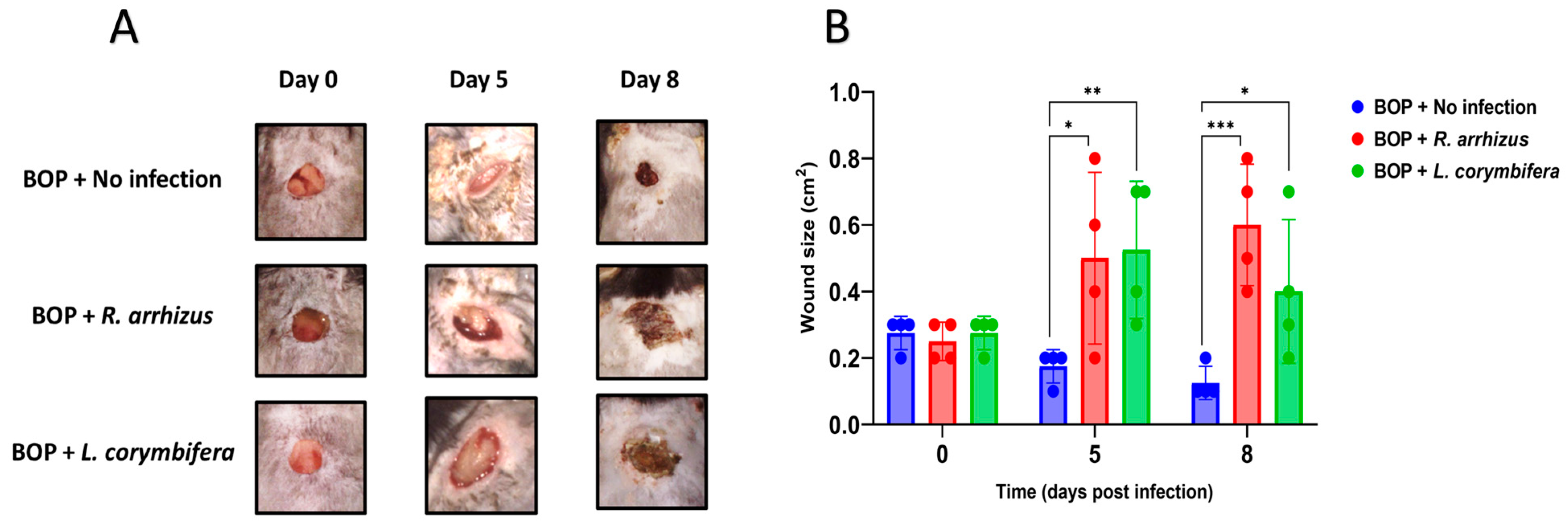 Jof 10 00364 g002 Jof 10 00364 g002
