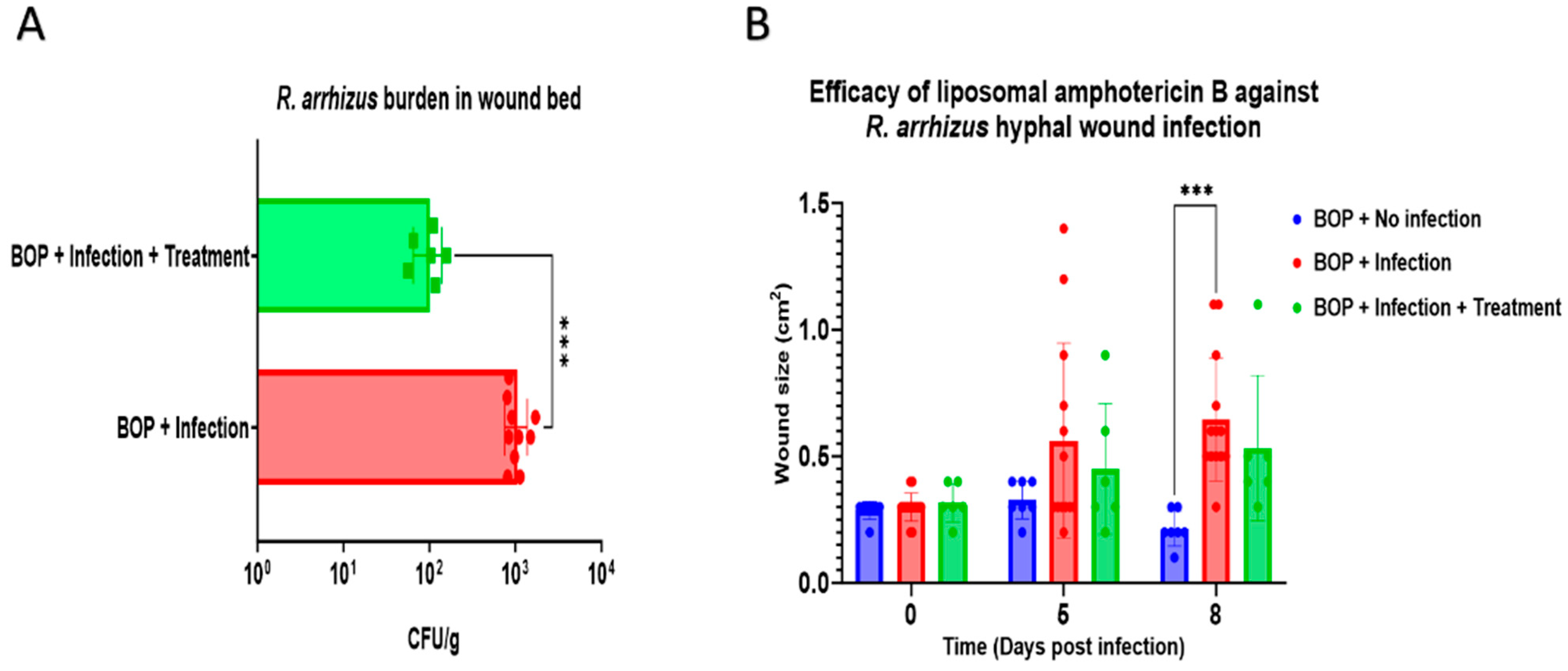 Jof 10 00364 g004 Jof 10 00364 g004
