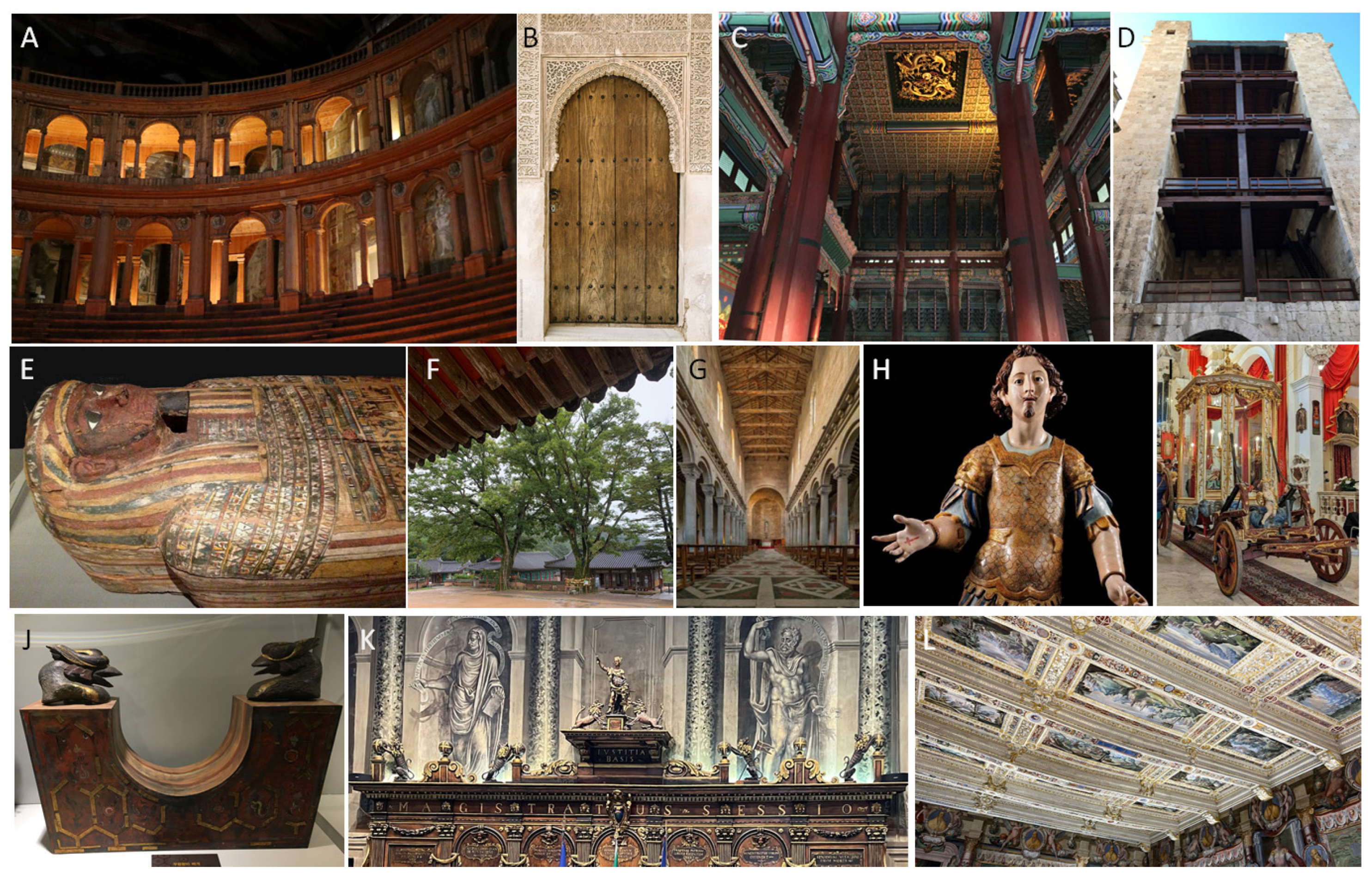 Jof 10 00366 g001 Jof 10 00366 g001