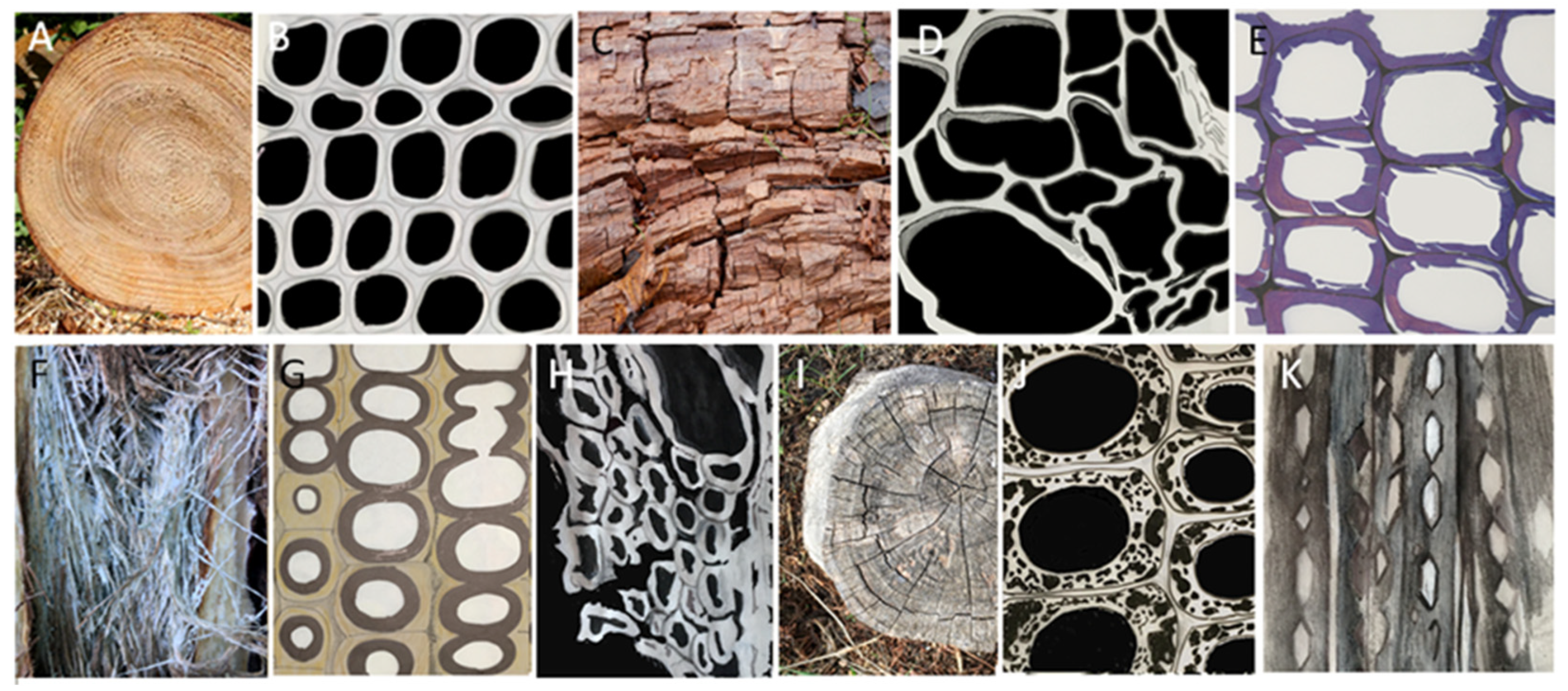 Jof 10 00366 g003 Jof 10 00366 g003