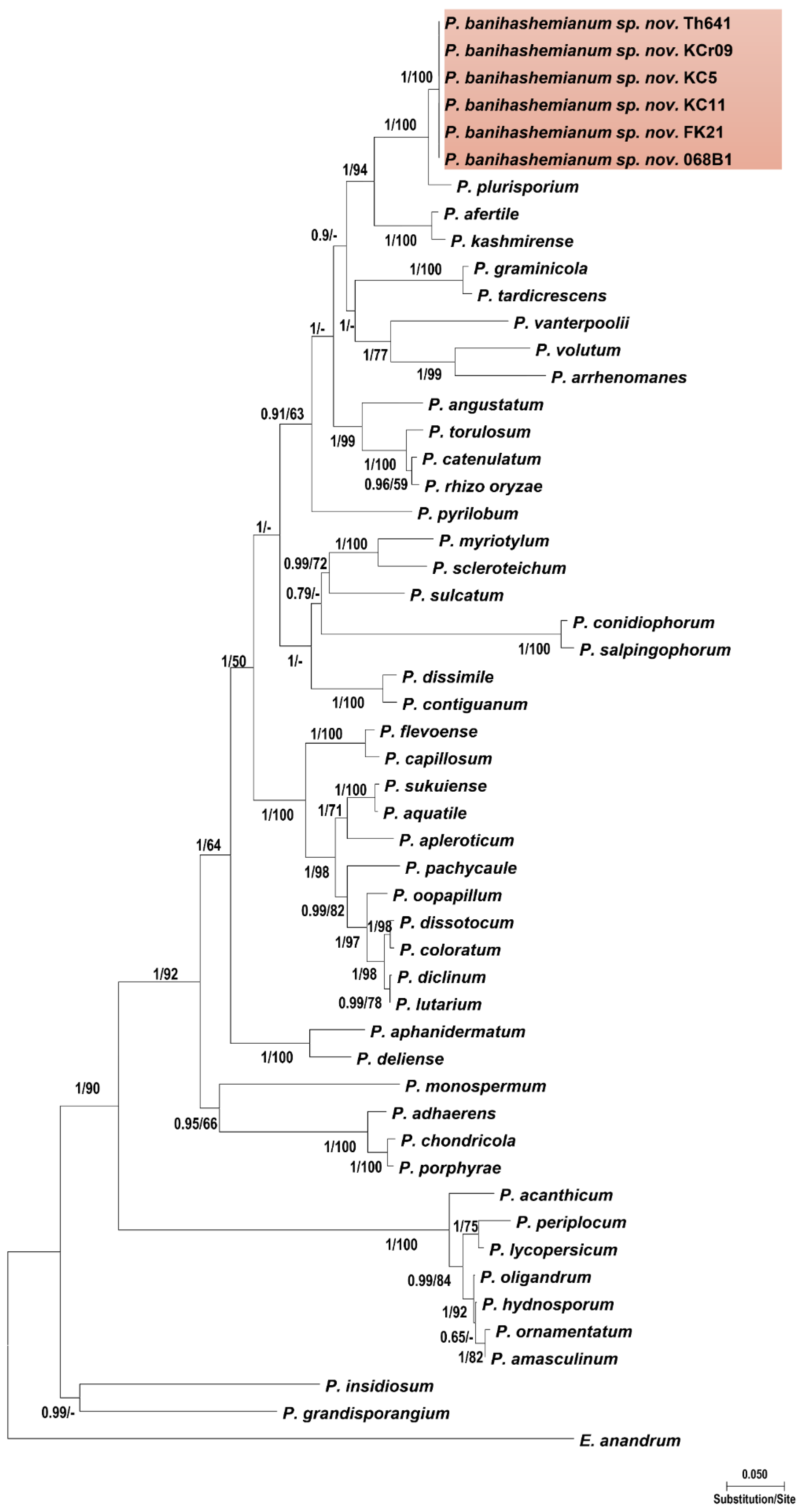 Jof 10 00405 g001 Jof 10 00405 g001