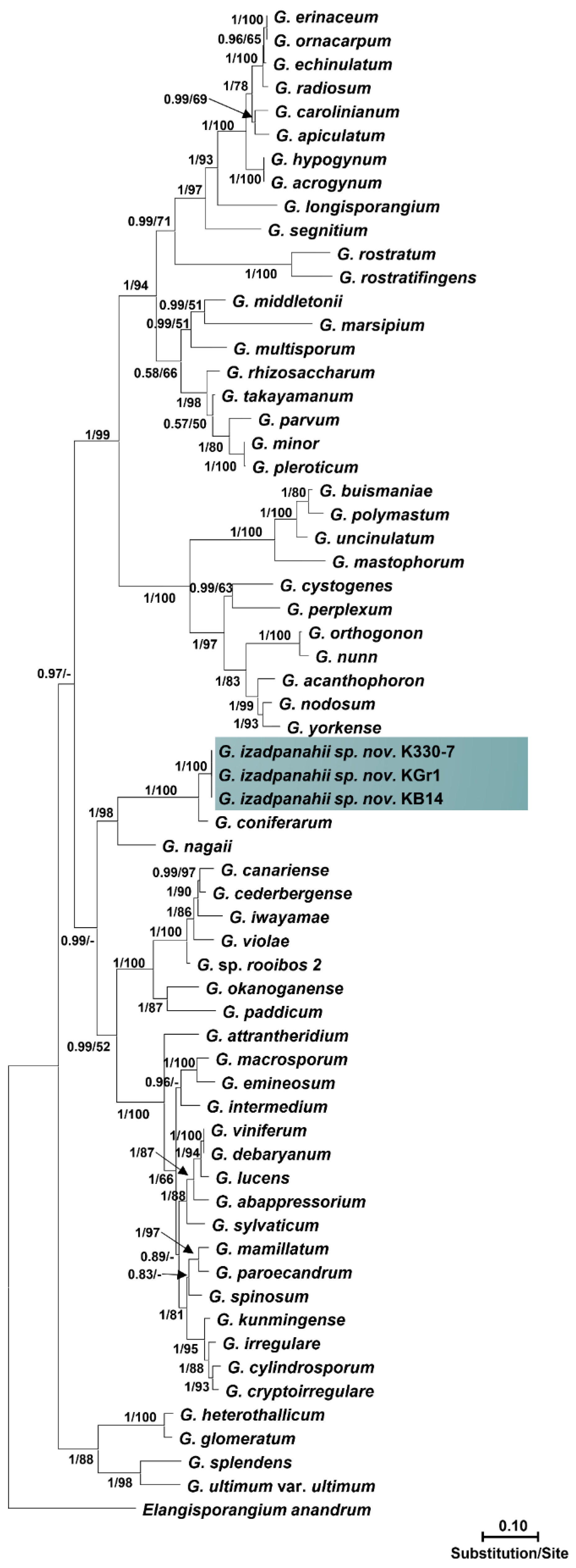 Jof 10 00405 g002 Jof 10 00405 g002
