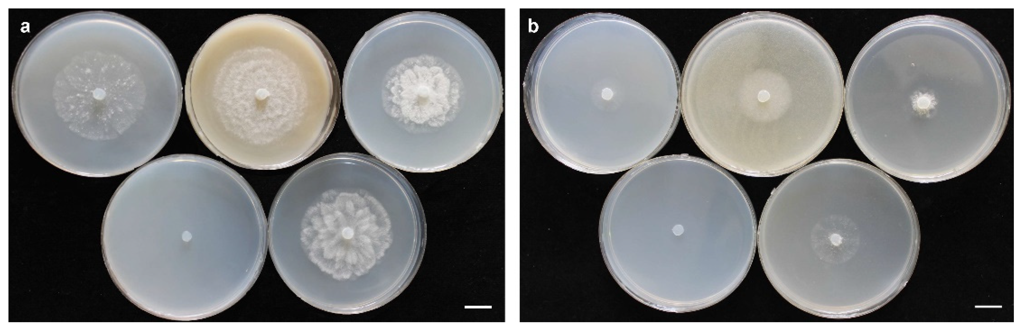 Jof 10 00405 g004 Jof 10 00405 g004