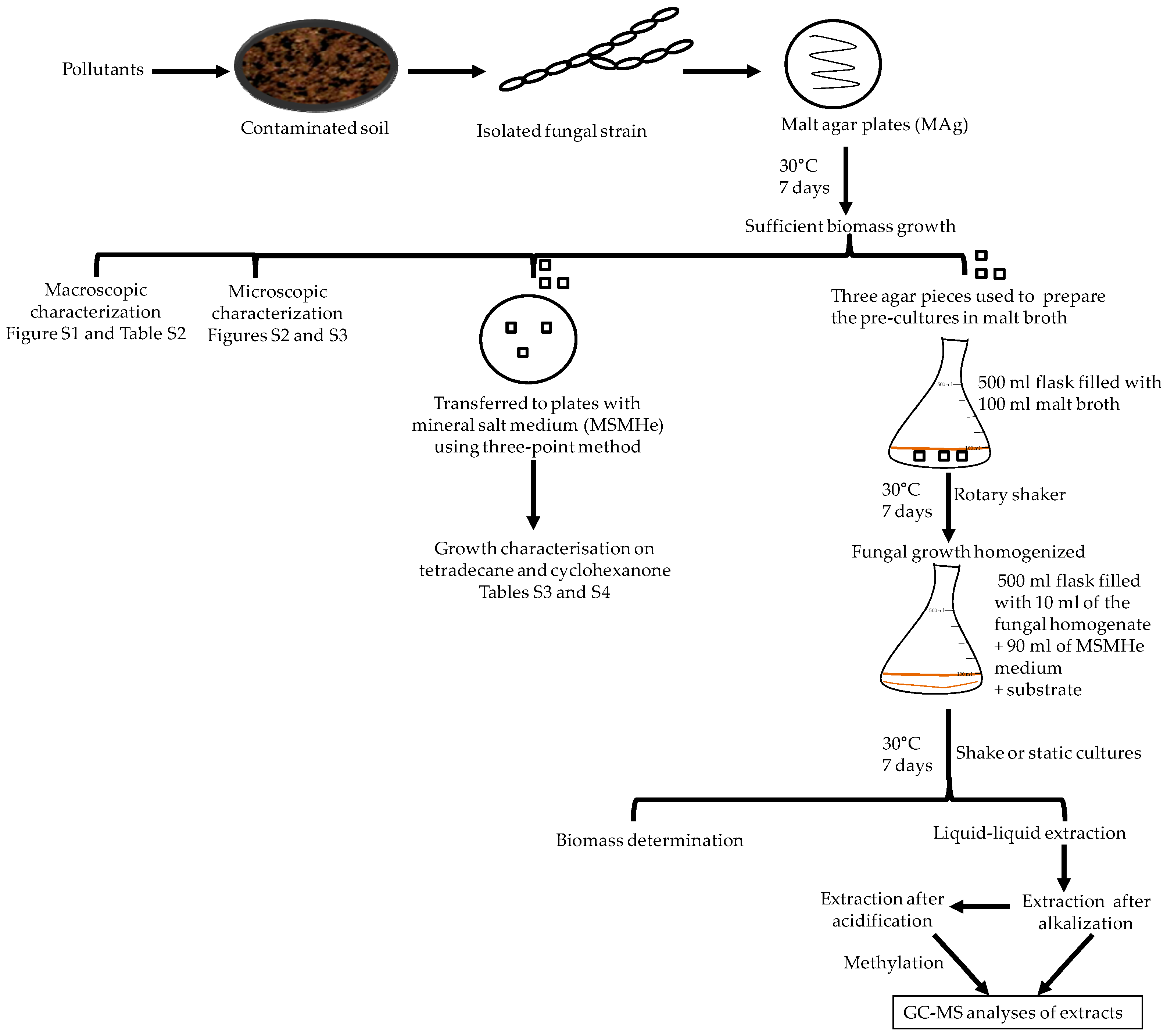 Jof 10 00436 g001 Jof 10 00436 g001