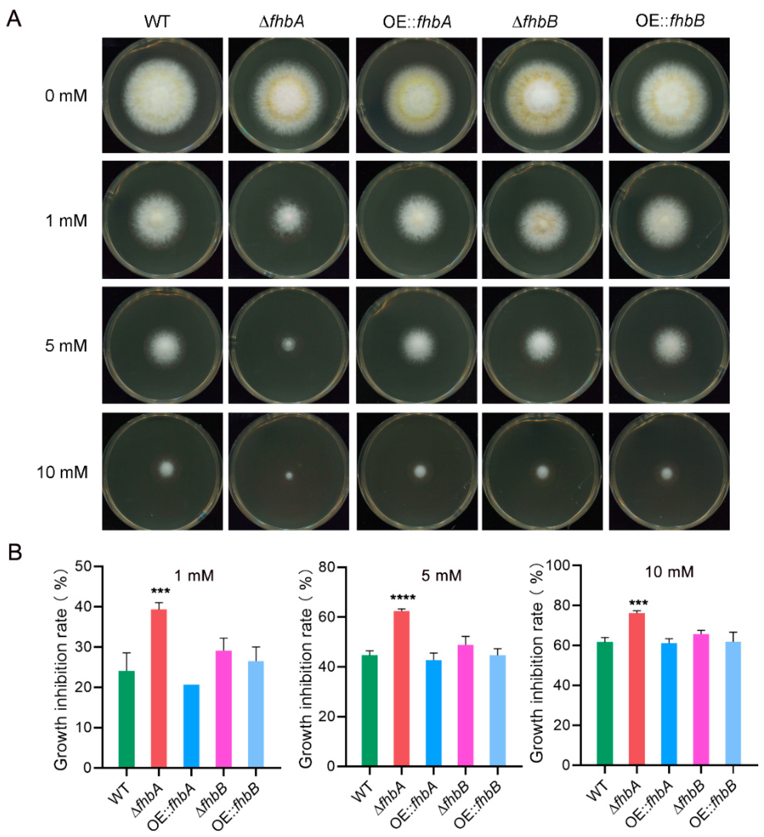 Jof 10 00437 g005 Jof 10 00437 g005