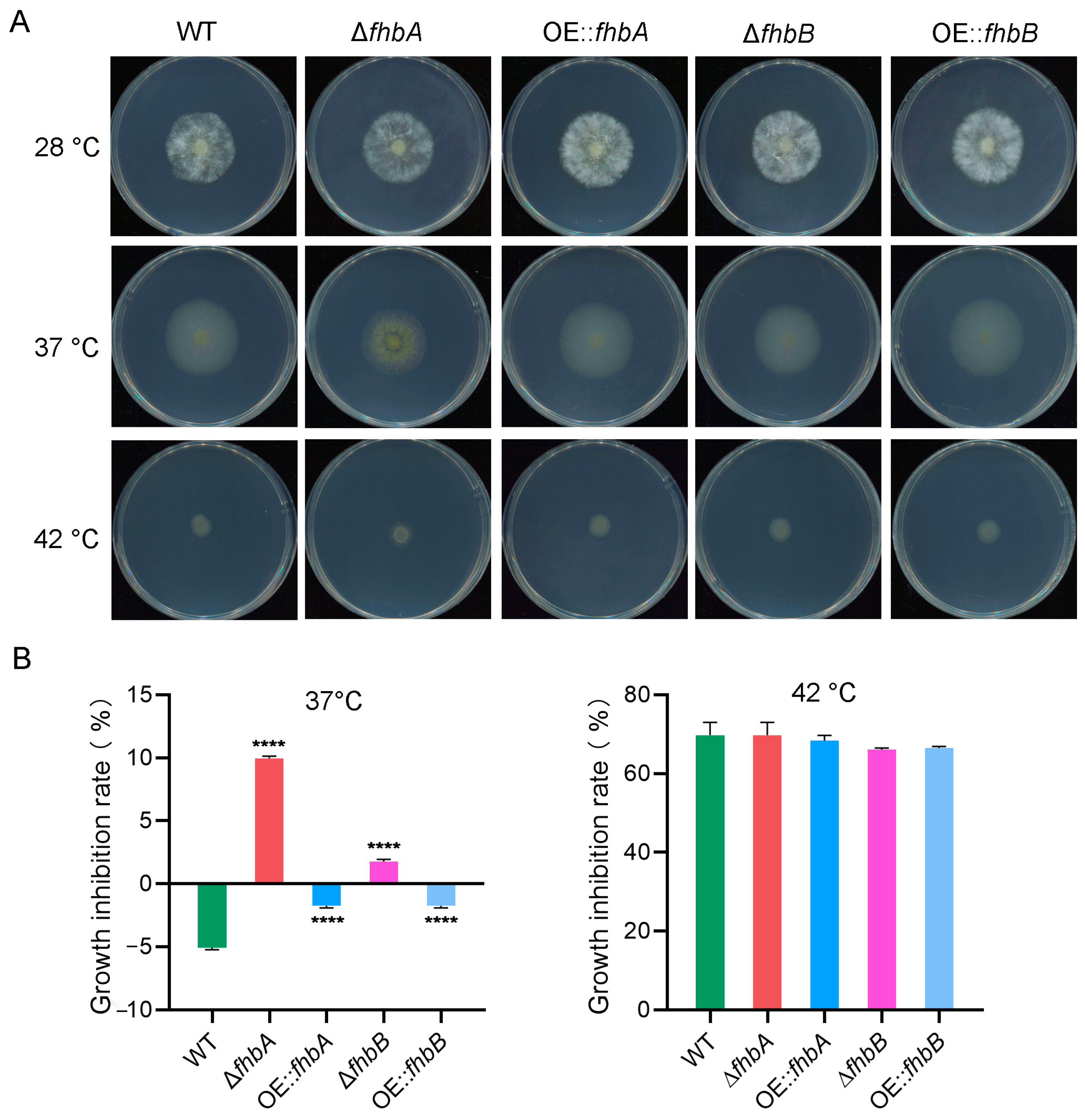 Jof 10 00437 g011 Jof 10 00437 g011