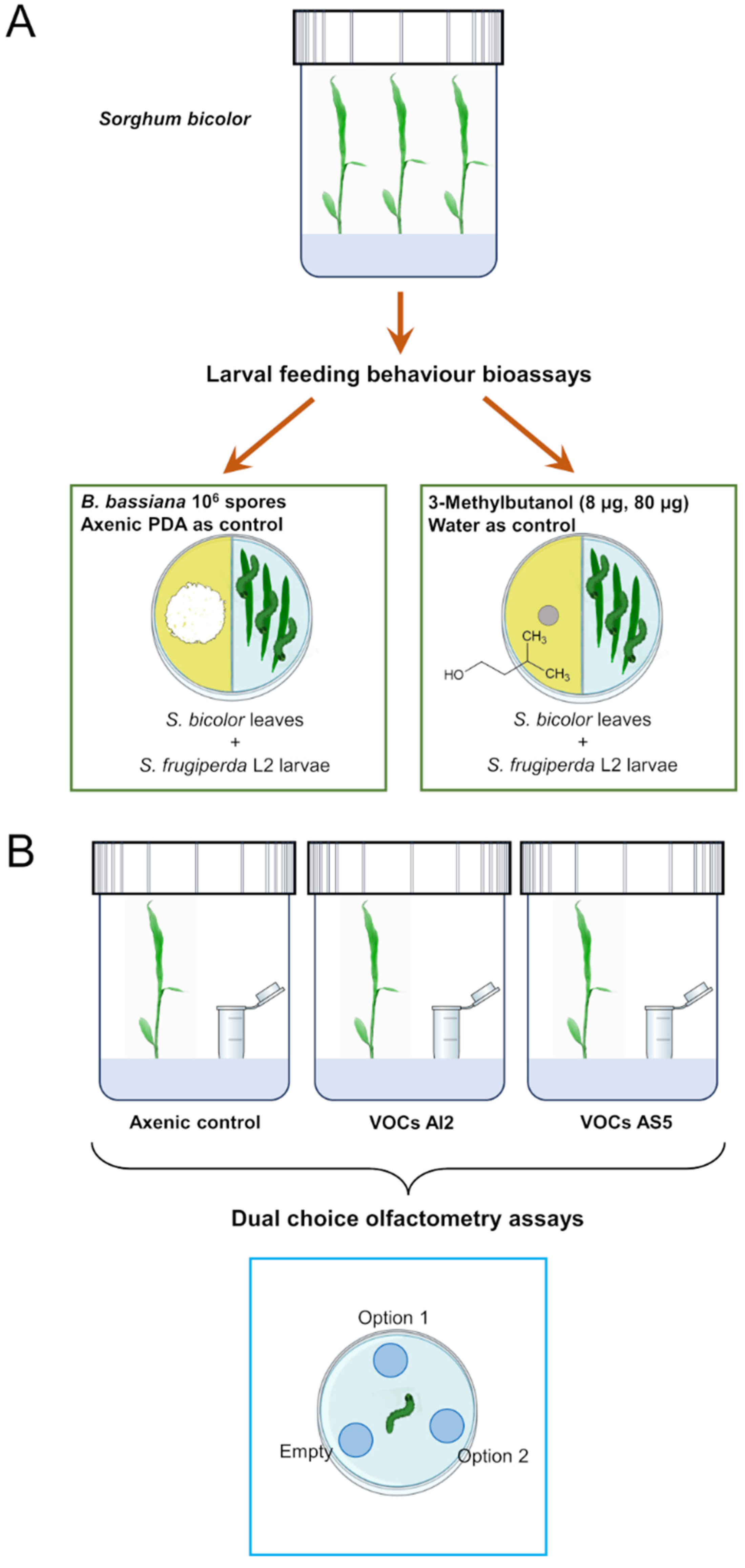 Jof 10 00438 g001 Jof 10 00438 g001