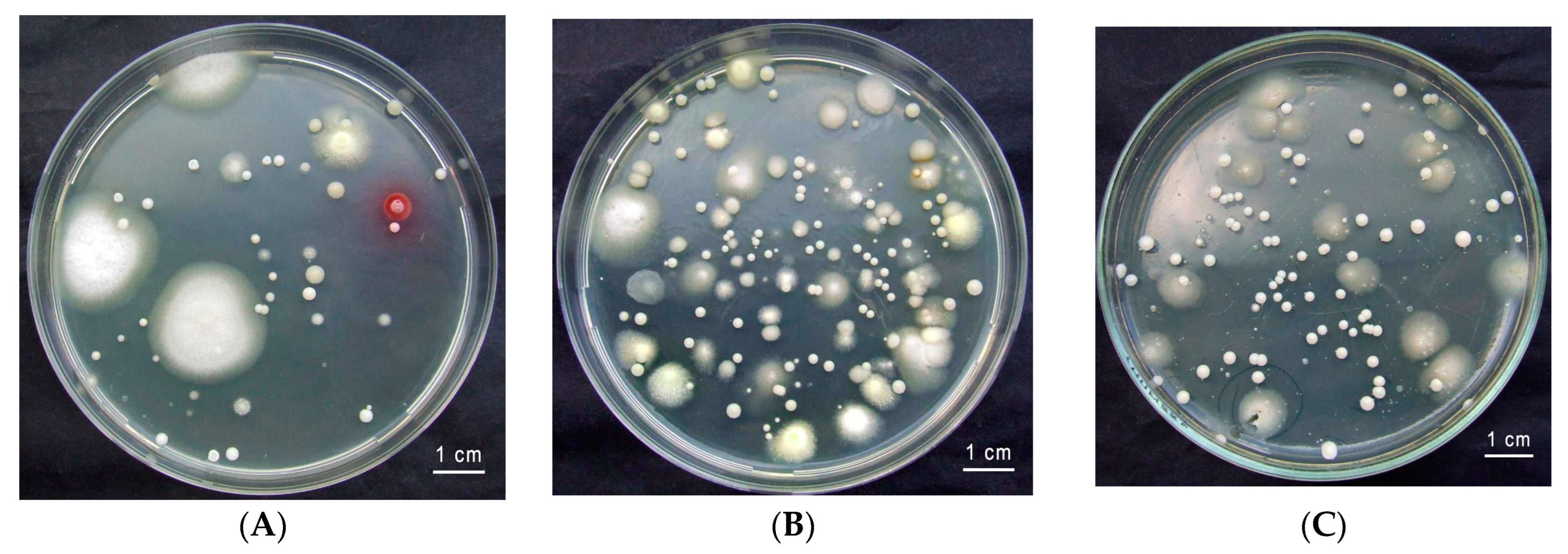 Jof 10 00442 g002 Jof 10 00442 g002