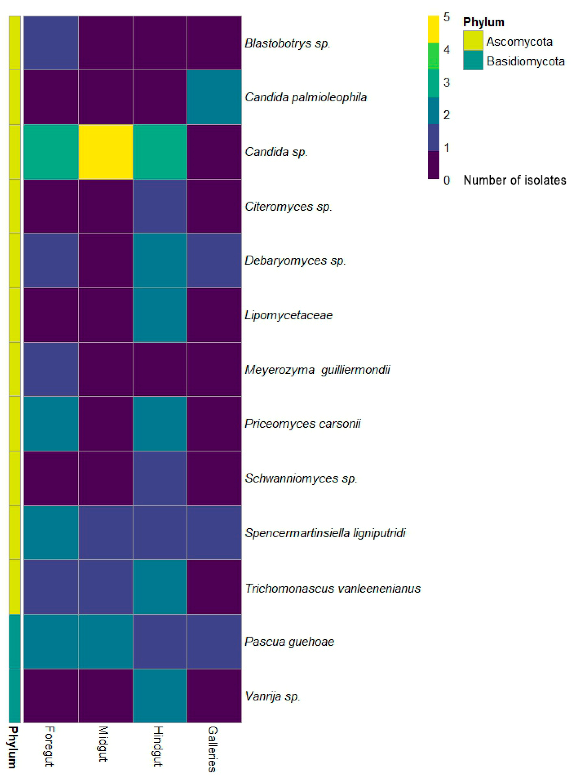 Jof 10 00442 g004 Jof 10 00442 g004